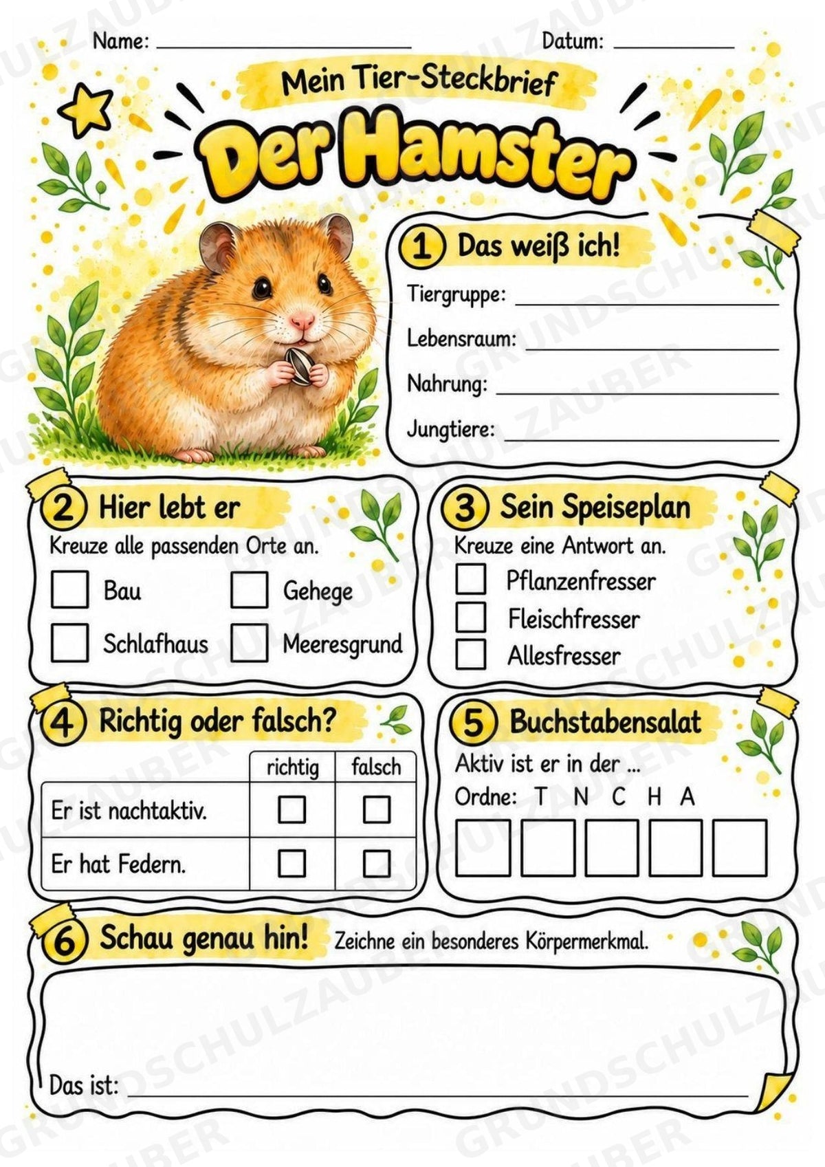 Hamster - Lesetext & Steckbrief | Sachunterricht Tiere Grundschule – Materialseite 3