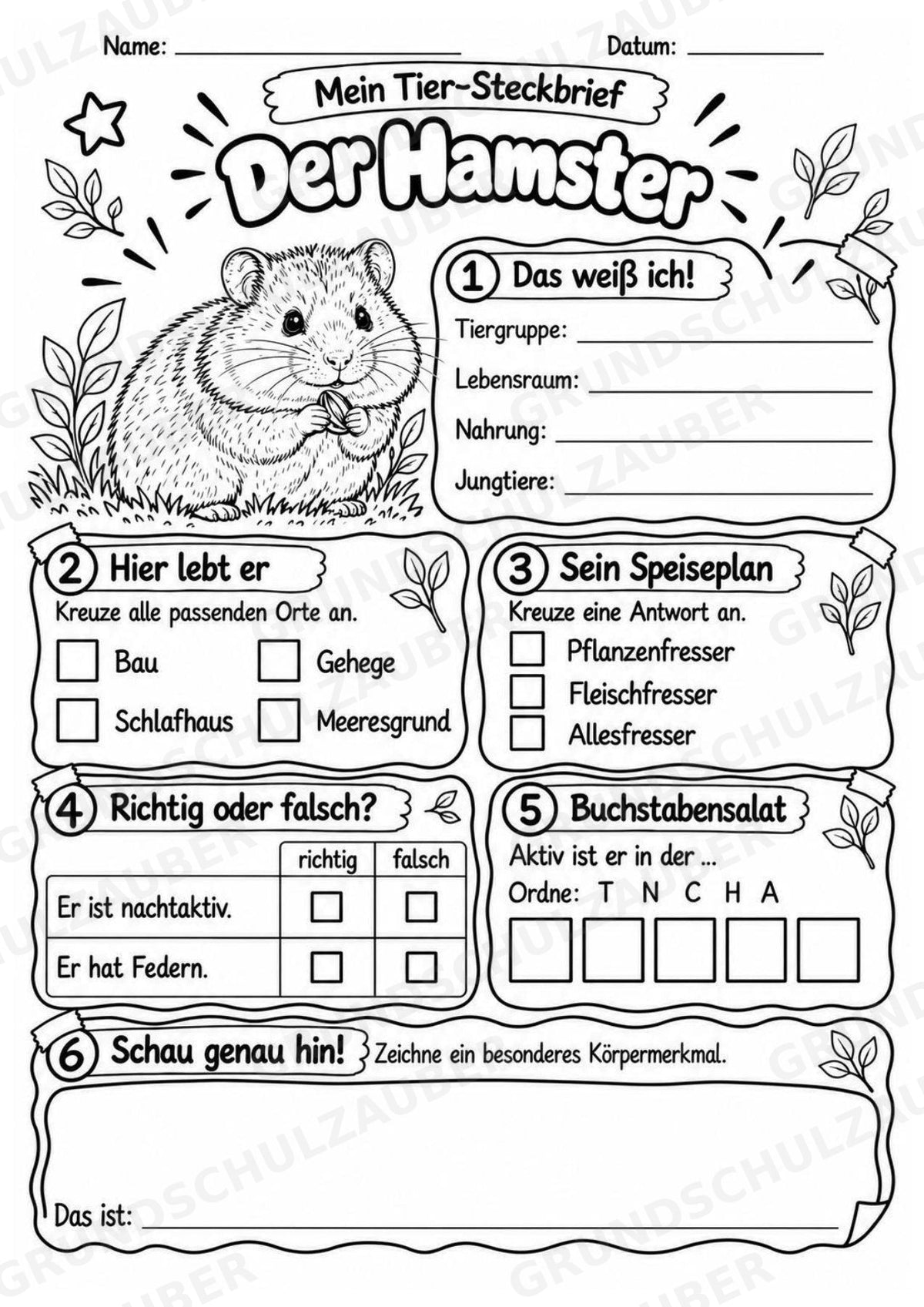 Hamster - Lesetext & Steckbrief | Sachunterricht Tiere Grundschule – Materialseite 4