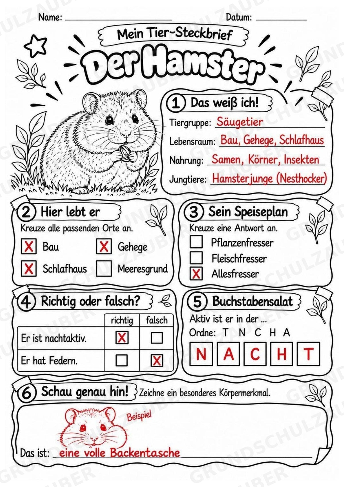 Hamster - Lesetext & Steckbrief | Sachunterricht Tiere Grundschule – Materialseite 5