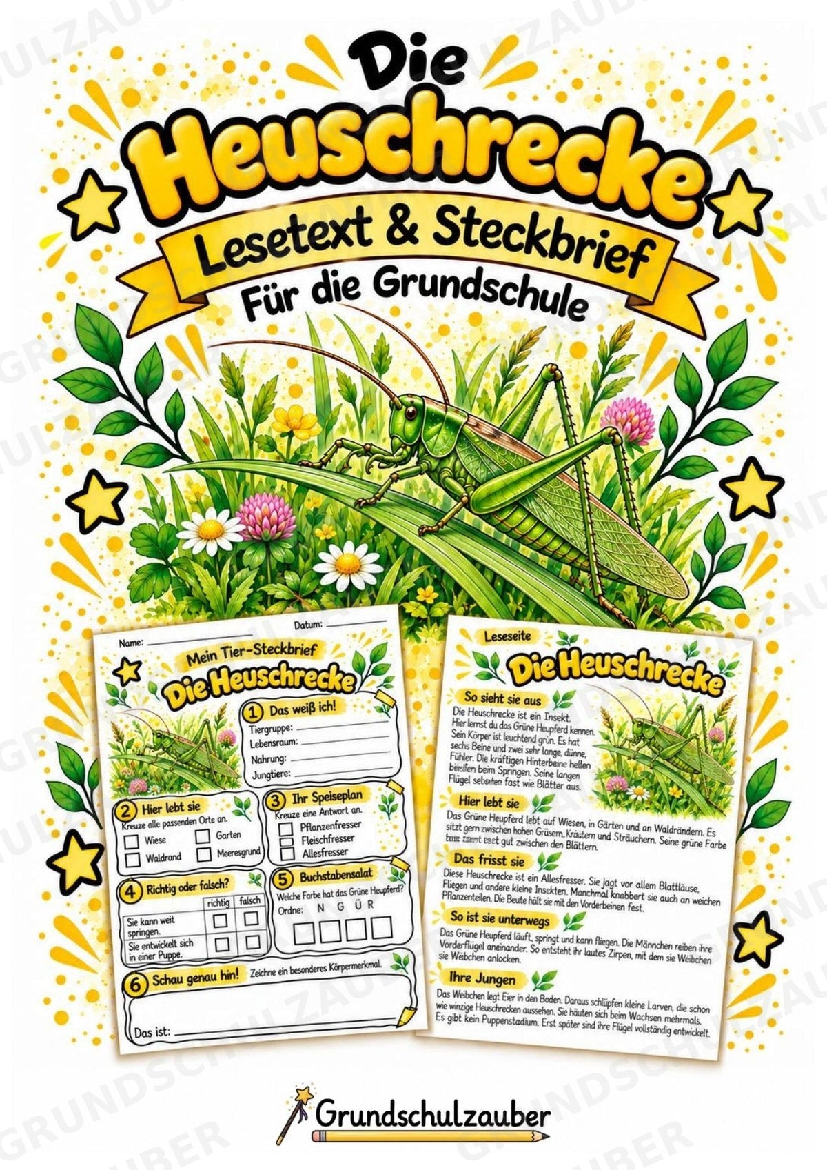 Heuschrecke - Lesetext & Steckbrief | Sachunterricht Tiere Grundschule – Cover