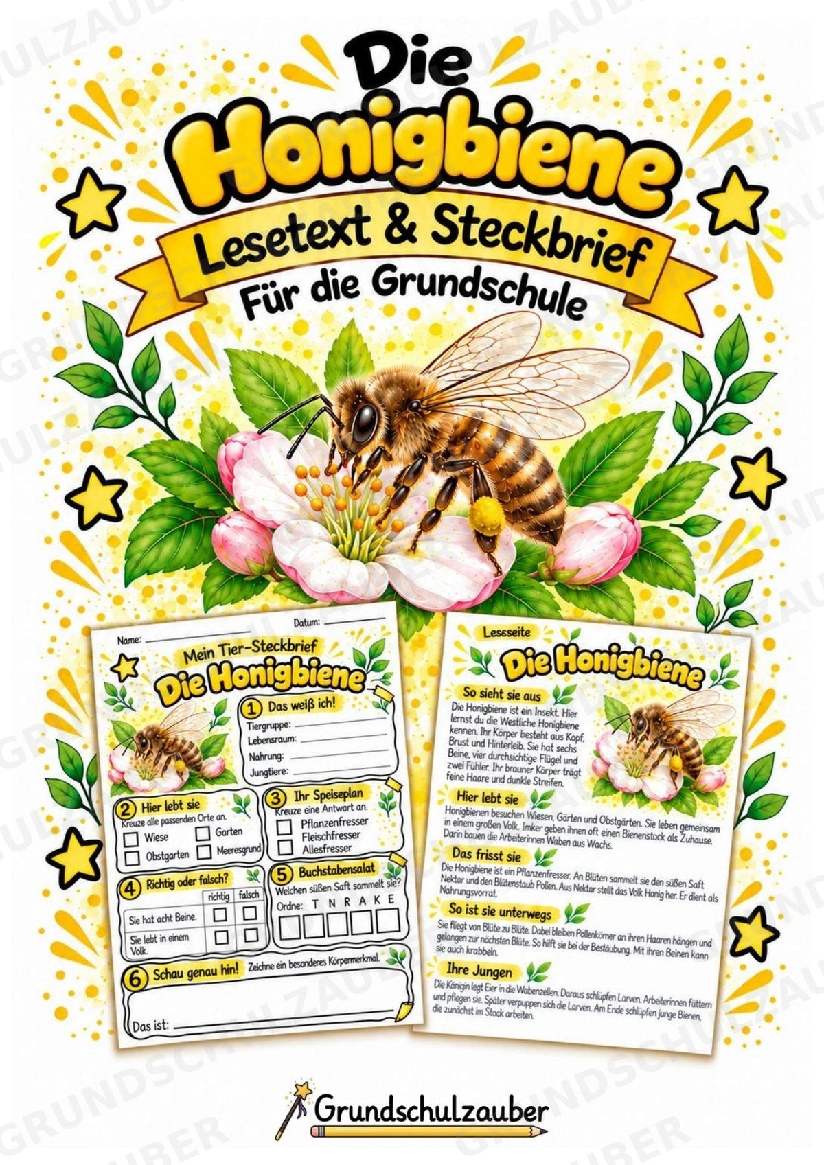 Honigbiene - Lesetext & Steckbrief | Sachunterricht Tiere Grundschule – Cover