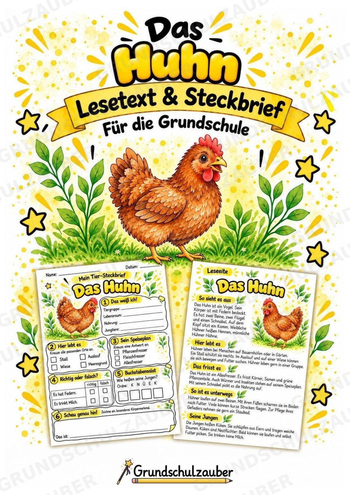Huhn - Lesetext & Steckbrief | Sachunterricht Tiere Grundschule – Cover