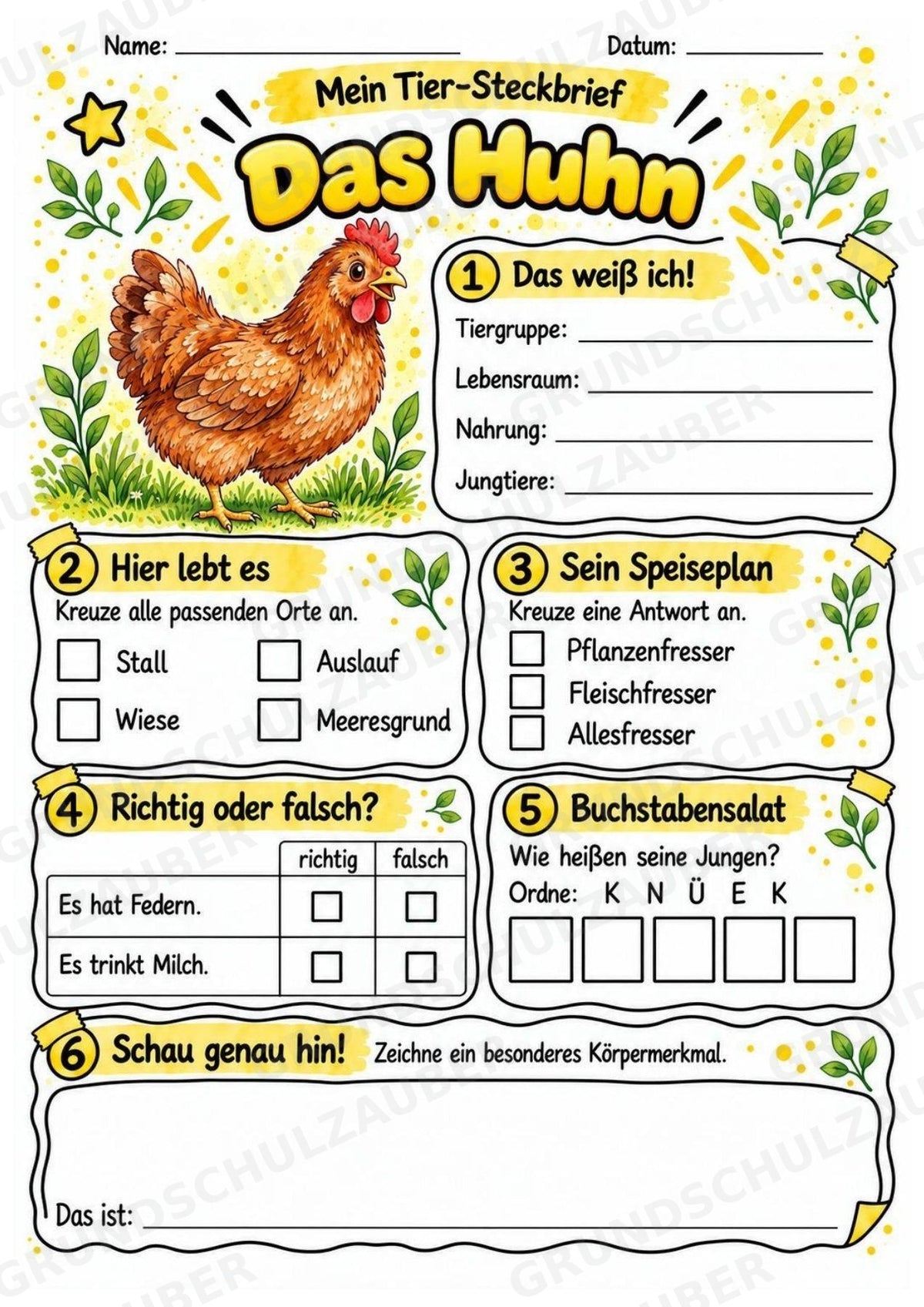 Huhn - Lesetext & Steckbrief | Sachunterricht Tiere Grundschule – Materialseite 3