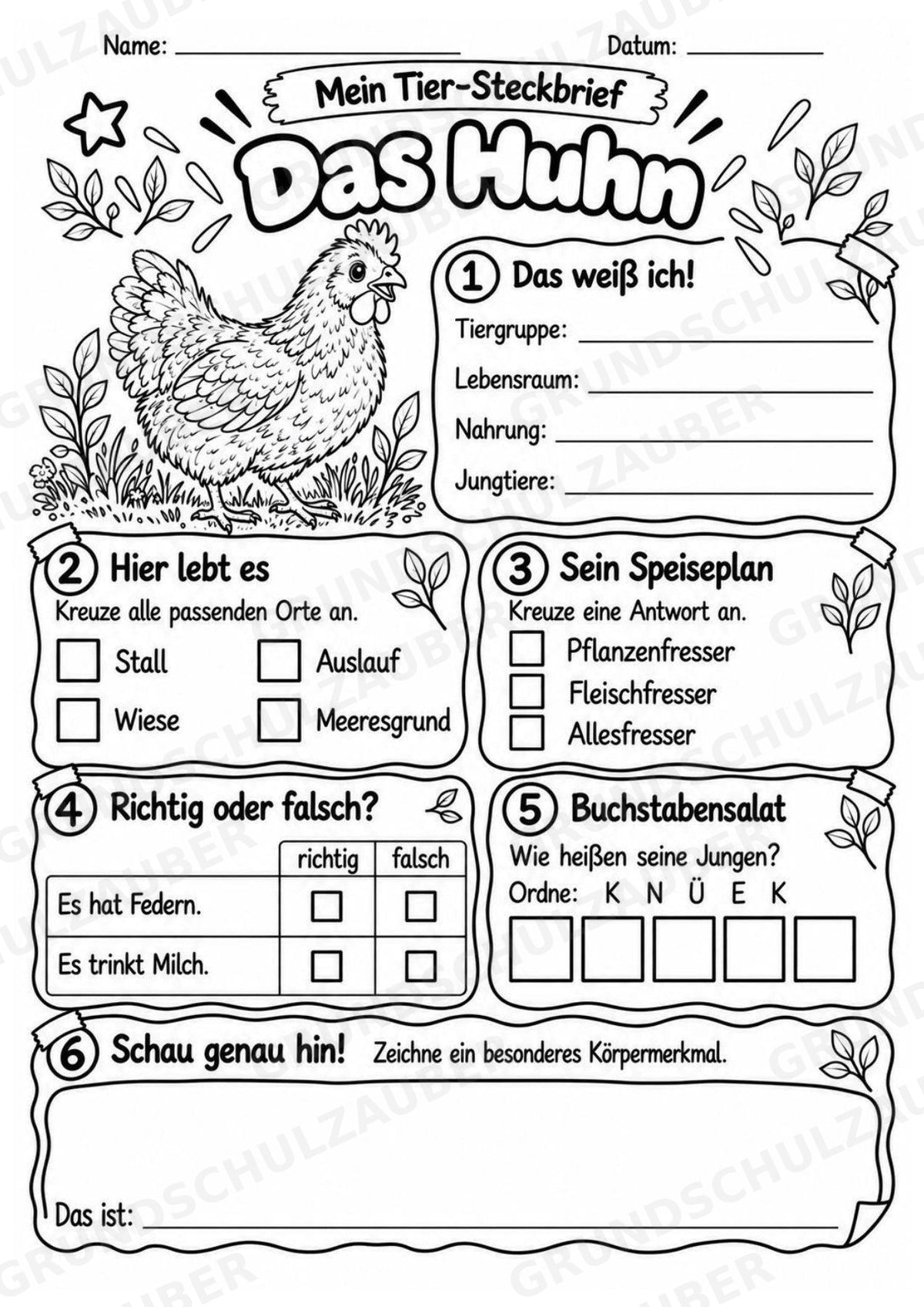 Huhn - Lesetext & Steckbrief | Sachunterricht Tiere Grundschule – Materialseite 4