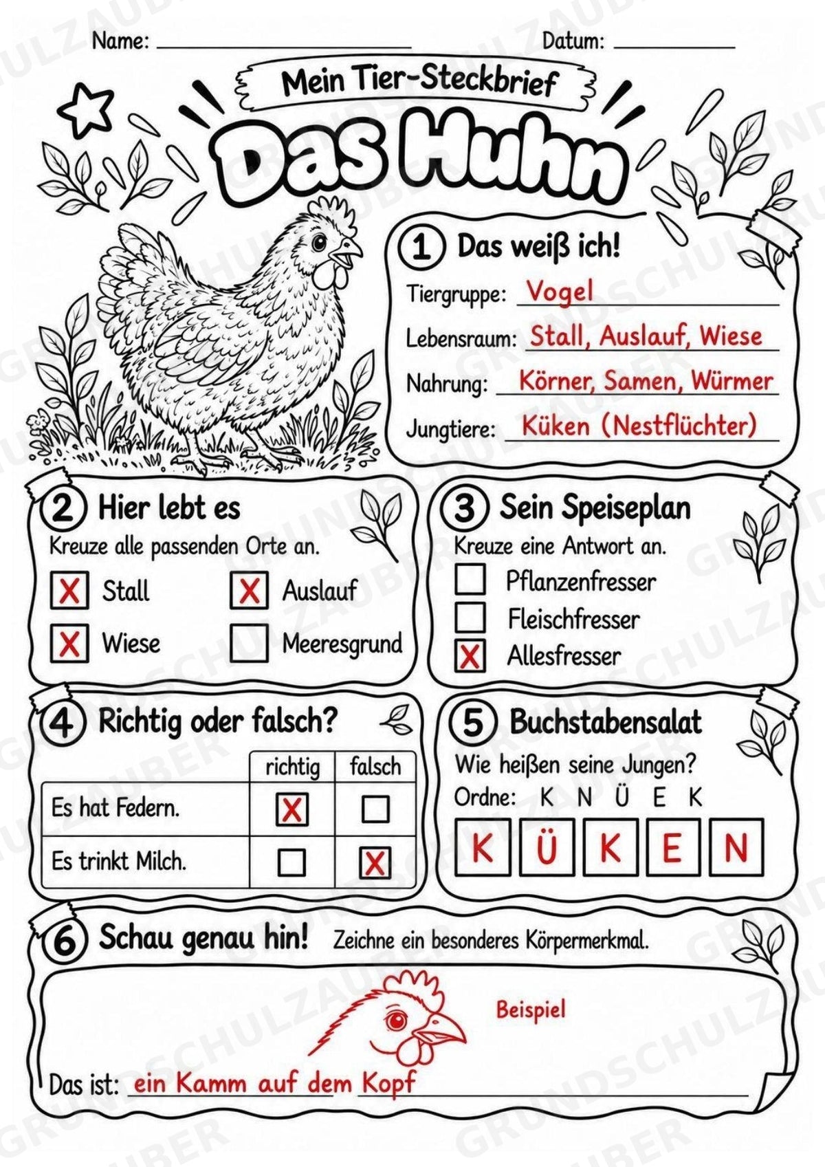 Huhn - Lesetext & Steckbrief | Sachunterricht Tiere Grundschule – Materialseite 5