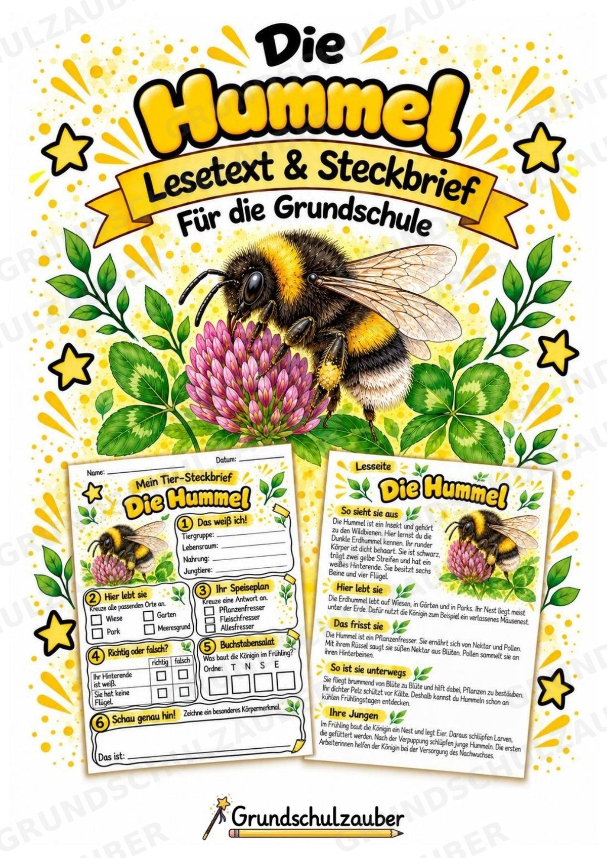 Hummel - Lesetext & Steckbrief | Sachunterricht Tiere Grundschule – Cover