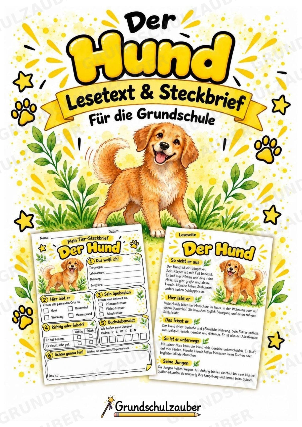Hund - Lesetext & Steckbrief | Sachunterricht Tiere Grundschule – Cover