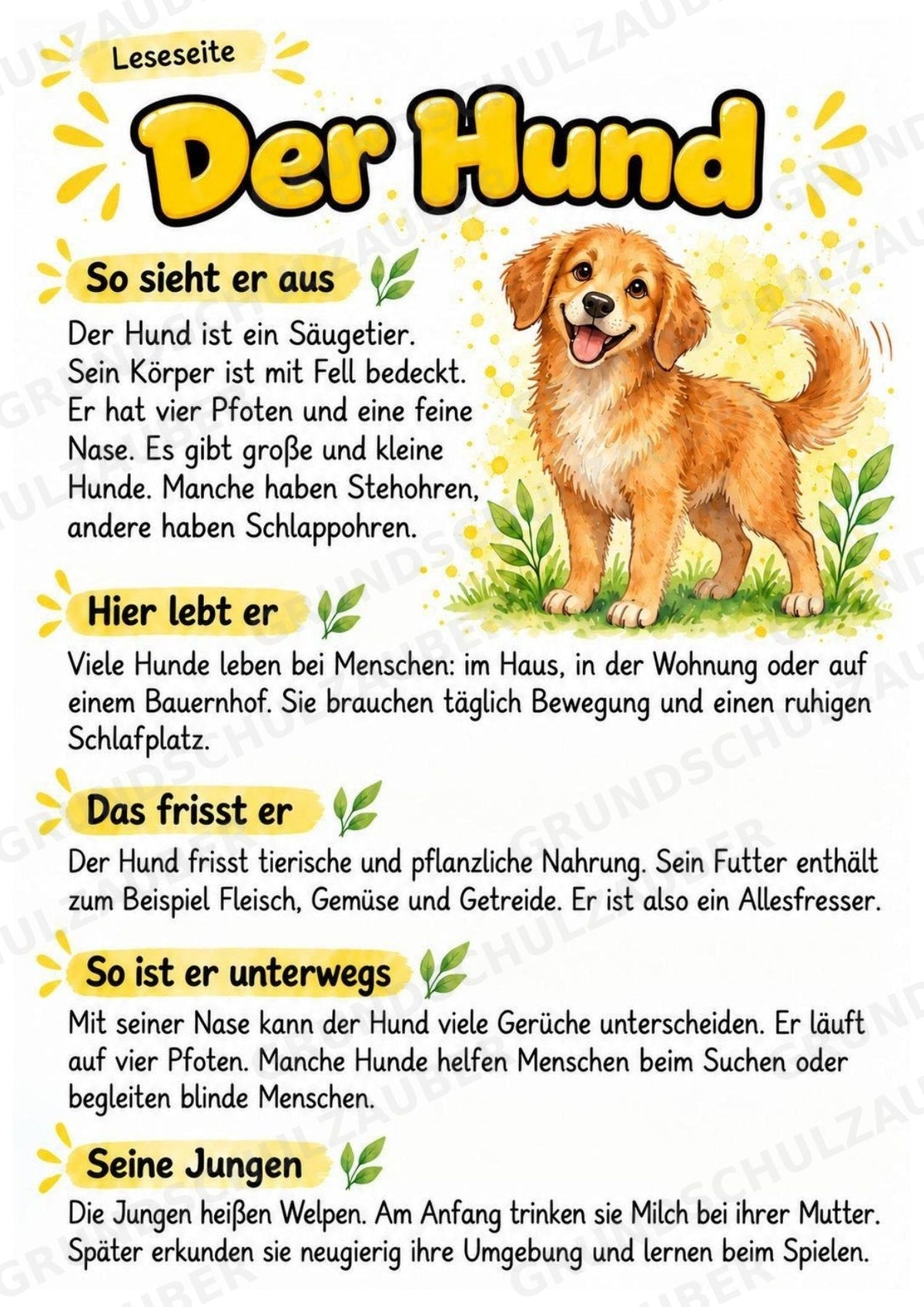 Hund - Lesetext & Steckbrief | Sachunterricht Tiere Grundschule – Materialseite 2