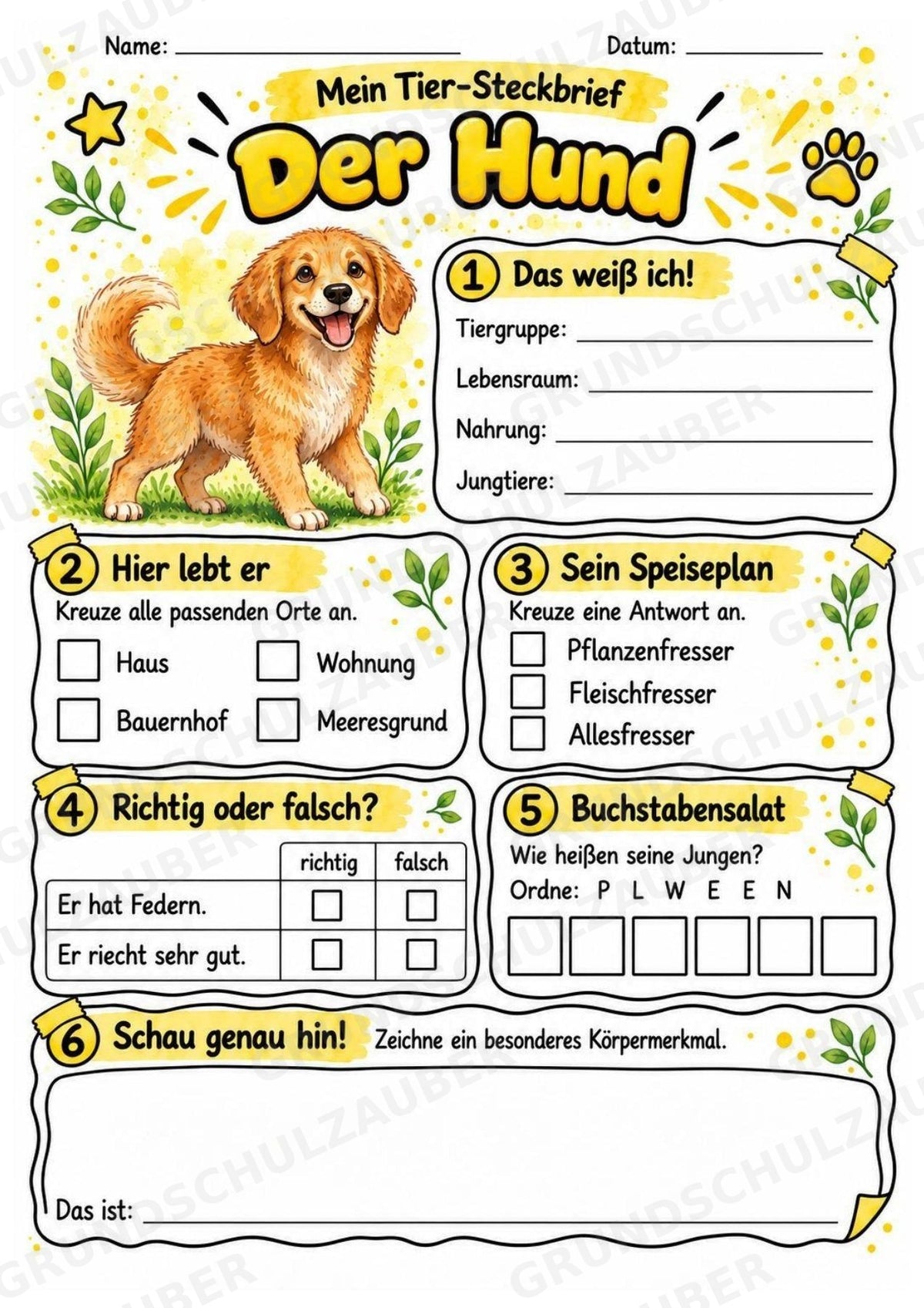 Hund - Lesetext & Steckbrief | Sachunterricht Tiere Grundschule – Materialseite 3