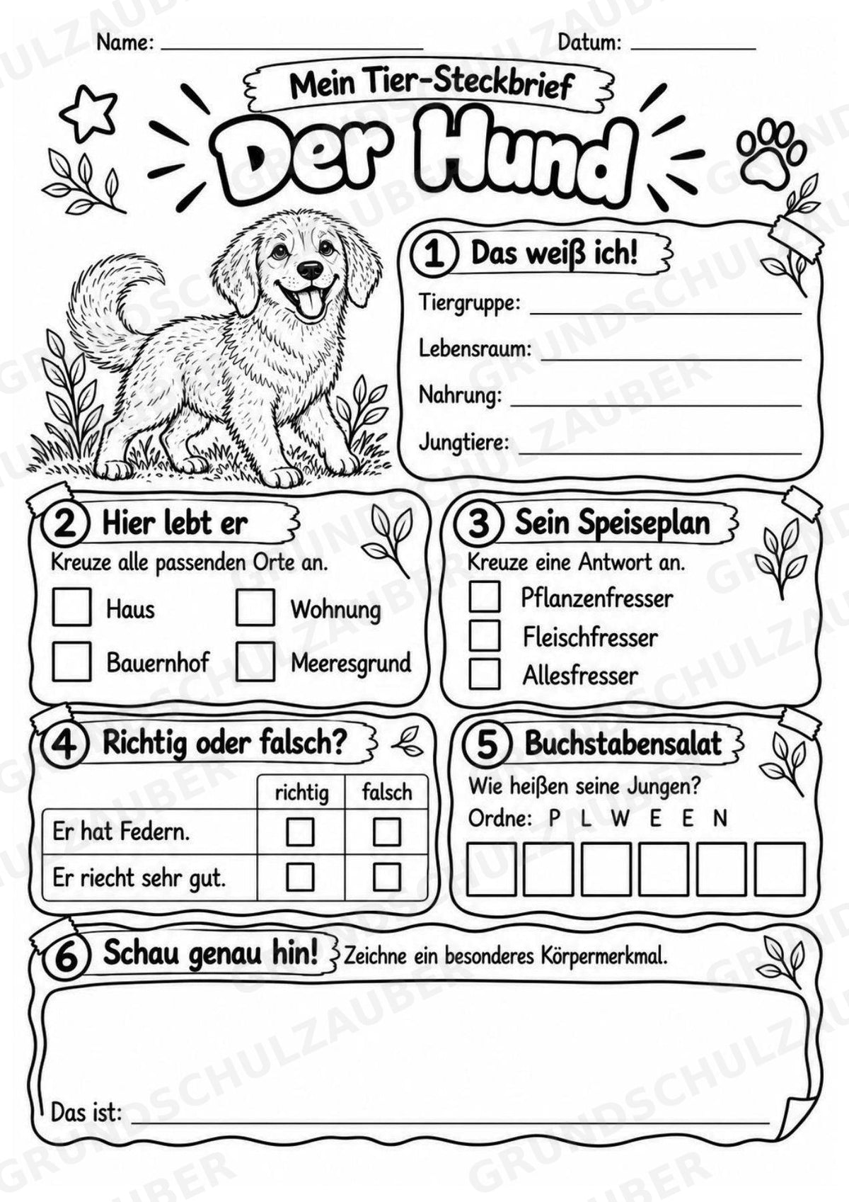 Hund - Lesetext & Steckbrief | Sachunterricht Tiere Grundschule – Materialseite 4