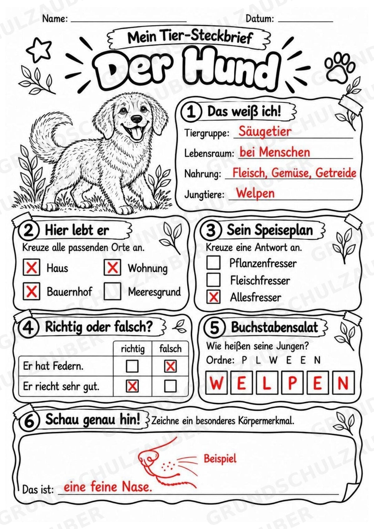 Hund - Lesetext & Steckbrief | Sachunterricht Tiere Grundschule – Materialseite 5