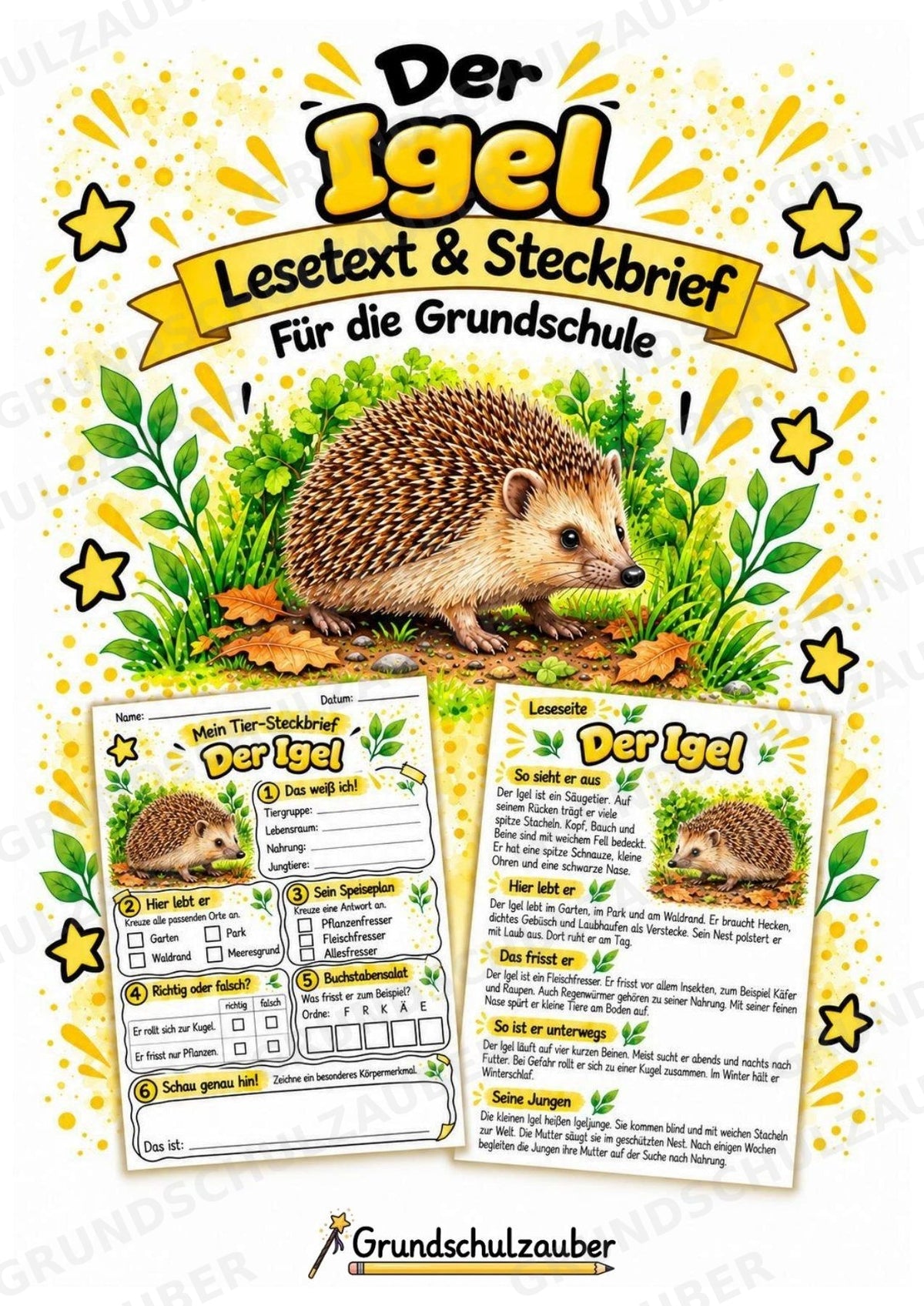 Igel - Lesetext & Steckbrief | Sachunterricht Tiere Grundschule – Cover