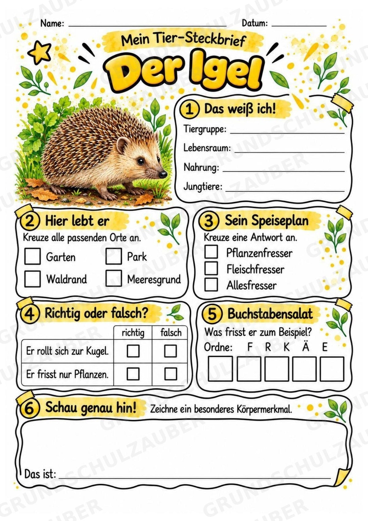 Igel - Lesetext & Steckbrief | Sachunterricht Tiere Grundschule – Materialseite 3