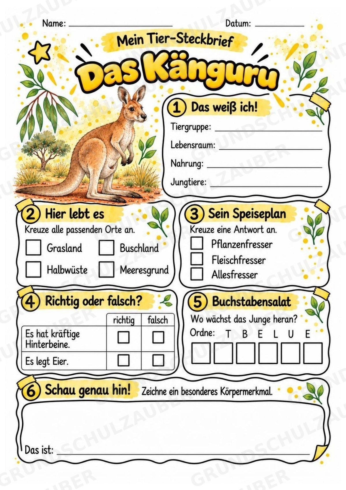 Känguru - Lesetext & Steckbrief | Sachunterricht Tiere Grundschule – Materialseite 3