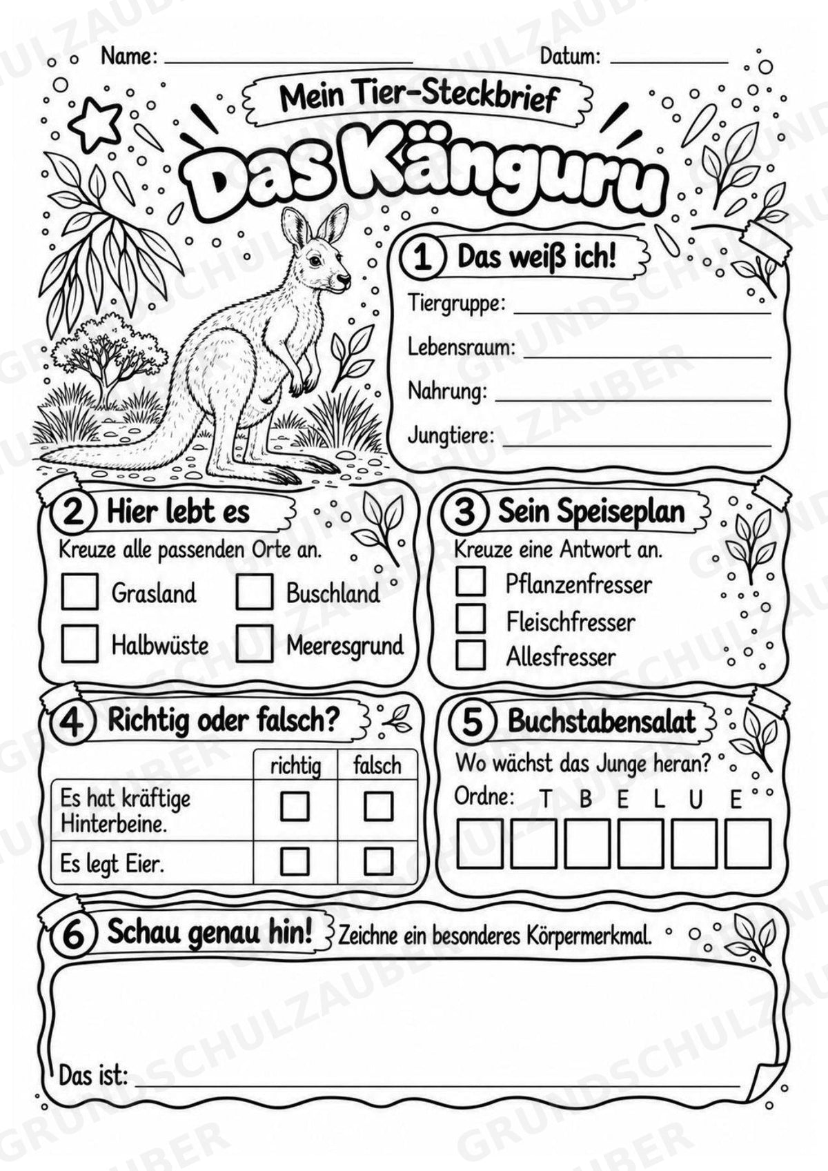 Känguru - Lesetext & Steckbrief | Sachunterricht Tiere Grundschule – Materialseite 4
