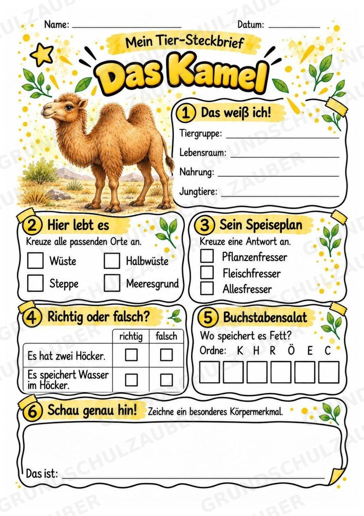 Kamel - Lesetext & Steckbrief | Sachunterricht Tiere Grundschule – Materialseite 3