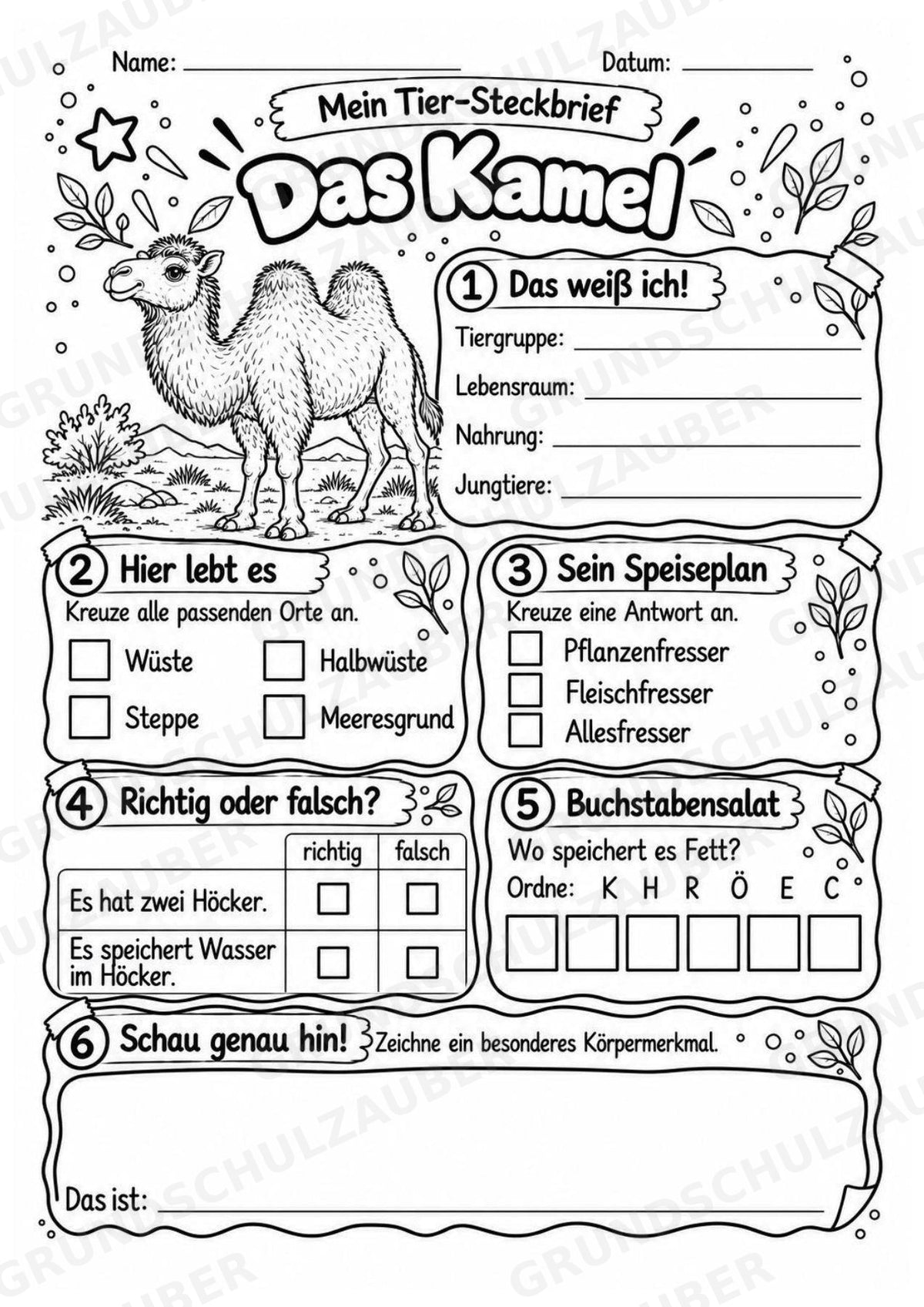 Kamel - Lesetext & Steckbrief | Sachunterricht Tiere Grundschule – Materialseite 4