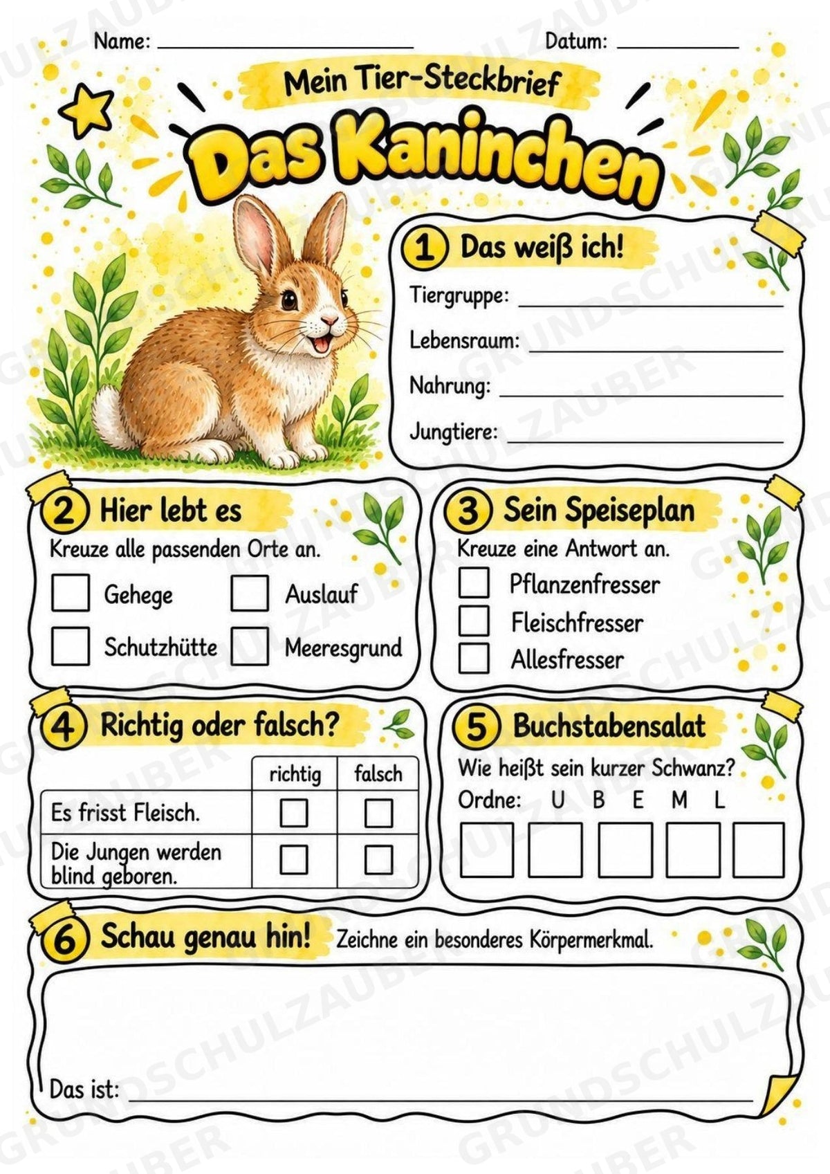 Kaninchen - Lesetext & Steckbrief | Sachunterricht Tiere Grundschule – Materialseite 3