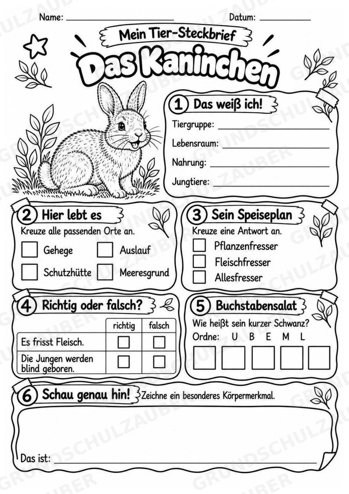 Kaninchen - Lesetext & Steckbrief | Sachunterricht Tiere Grundschule – Materialseite 4
