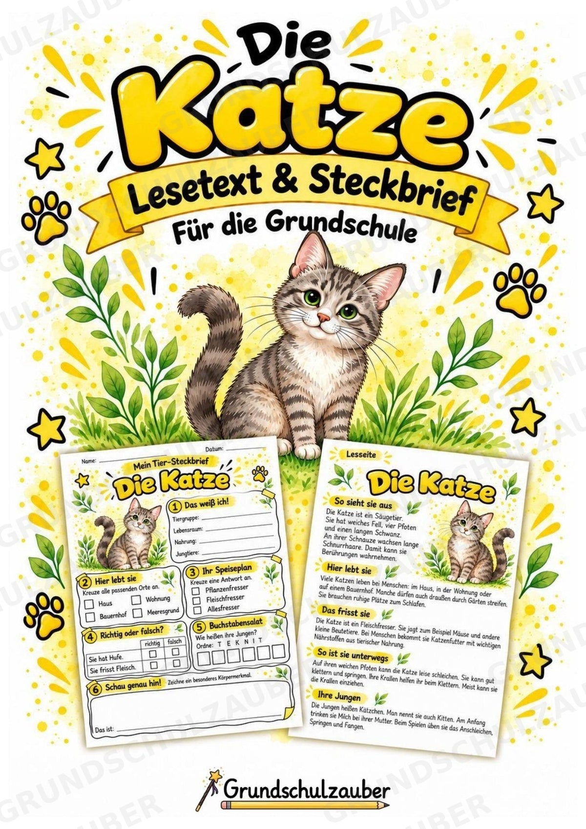Katze - Lesetext & Steckbrief | Sachunterricht Tiere Grundschule – Cover
