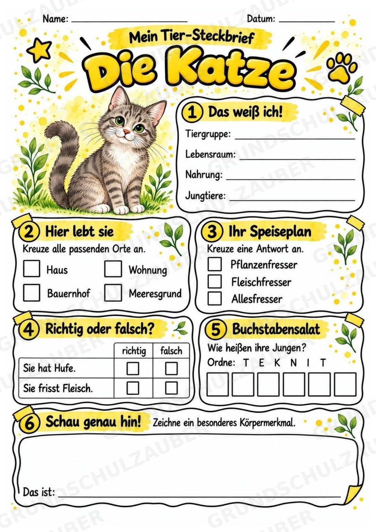 Katze - Lesetext & Steckbrief | Sachunterricht Tiere Grundschule – Materialseite 3