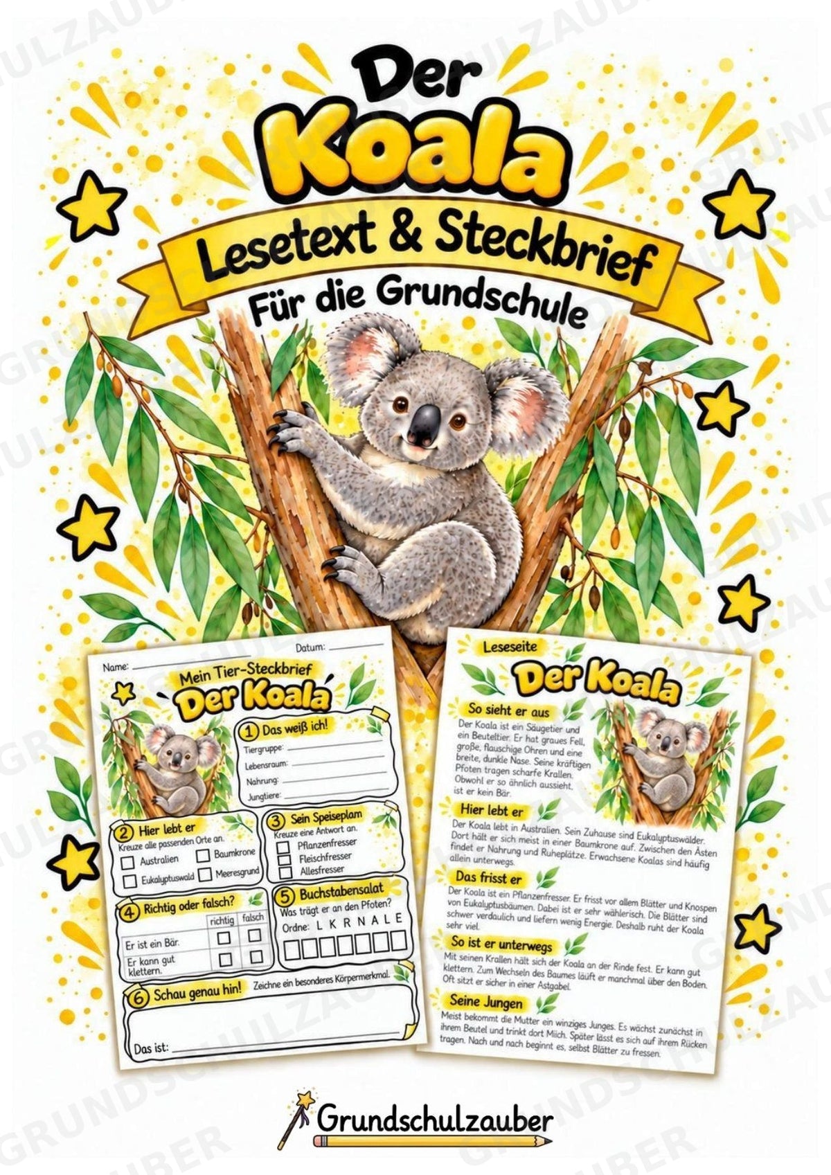 Koala - Lesetext & Steckbrief | Sachunterricht Tiere Grundschule – Cover
