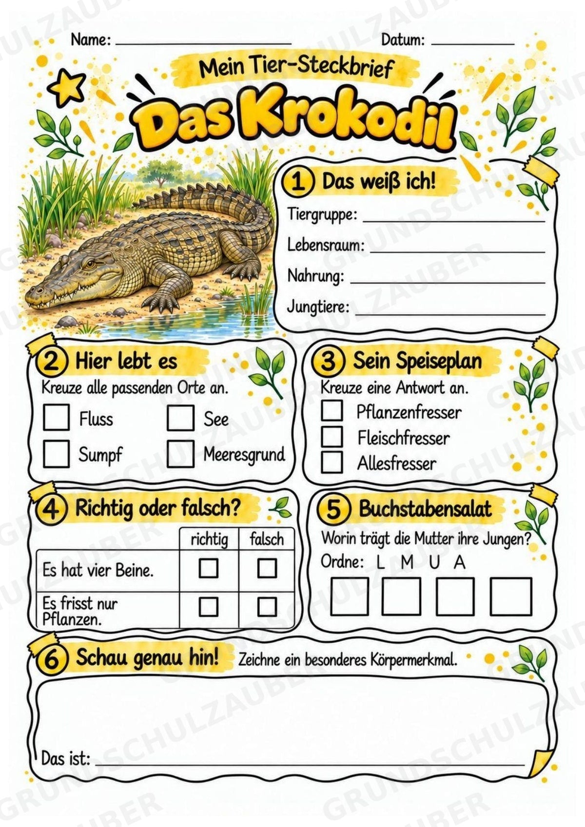 Krokodil - Lesetext & Steckbrief | Sachunterricht Tiere Grundschule – Materialseite 3