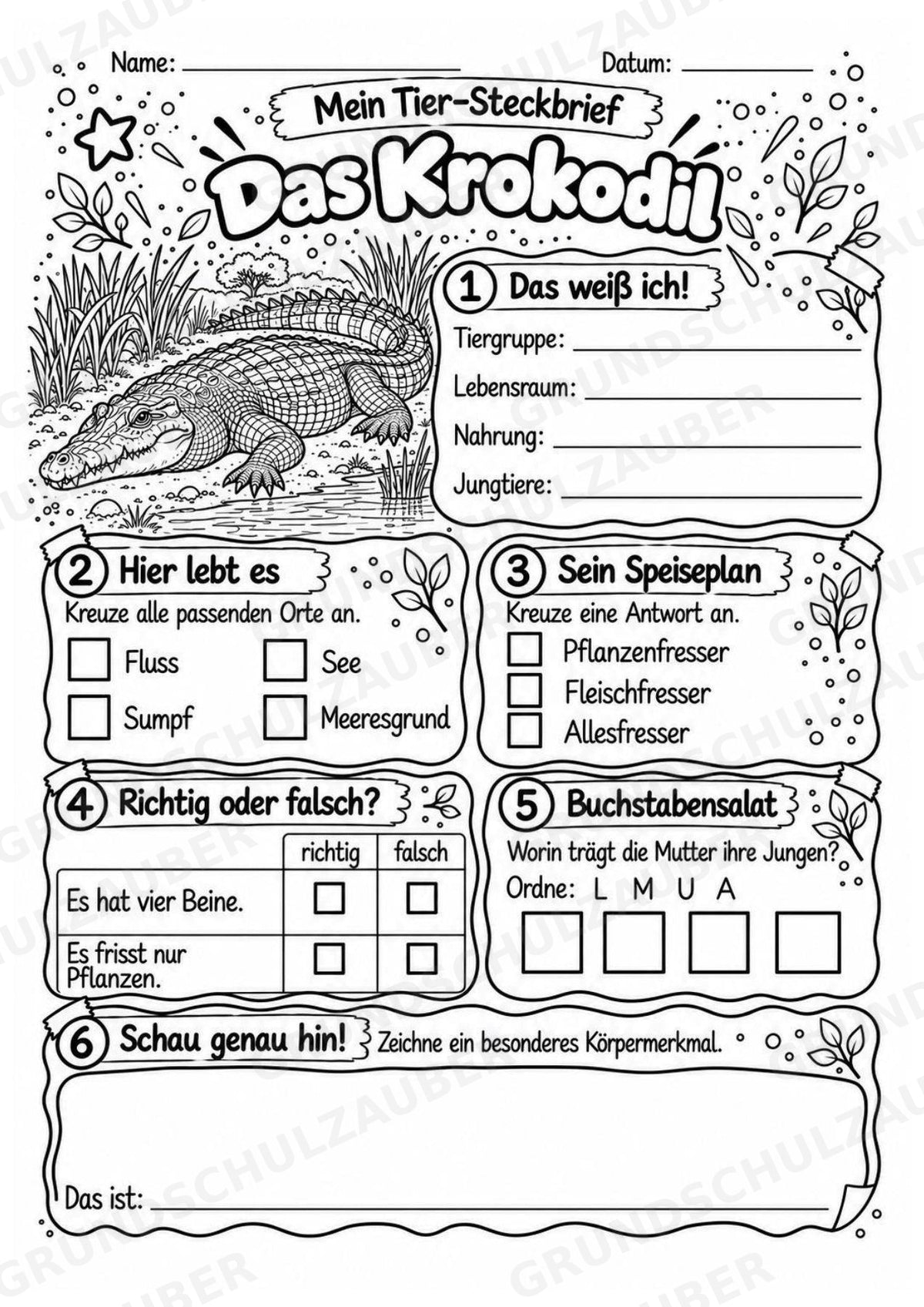 Krokodil - Lesetext & Steckbrief | Sachunterricht Tiere Grundschule – Materialseite 4