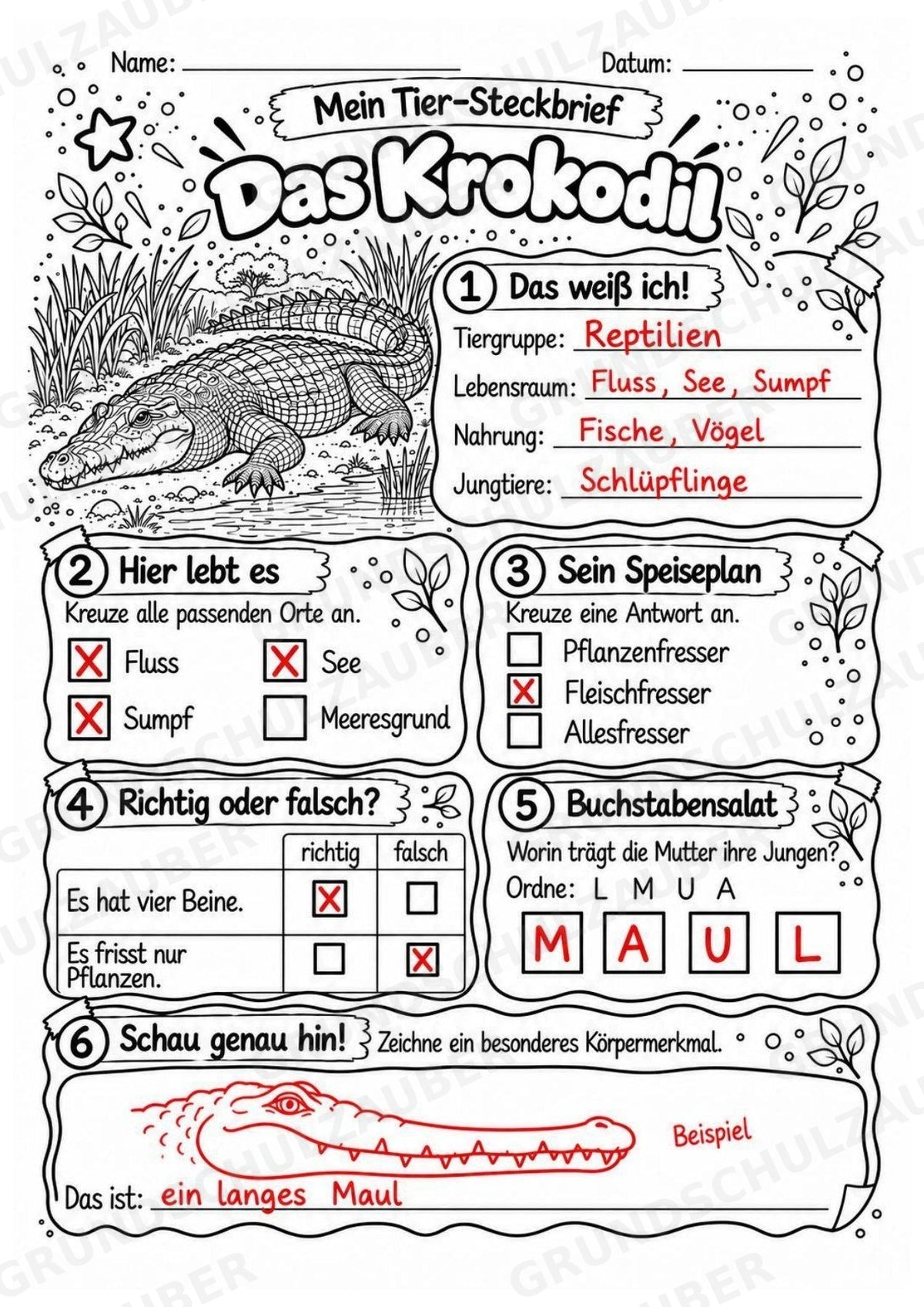 Krokodil - Lesetext & Steckbrief | Sachunterricht Tiere Grundschule – Materialseite 5
