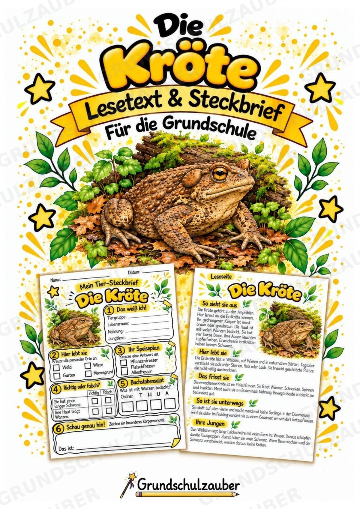 Kröte - Lesetext & Steckbrief | Sachunterricht Tiere Grundschule – Cover