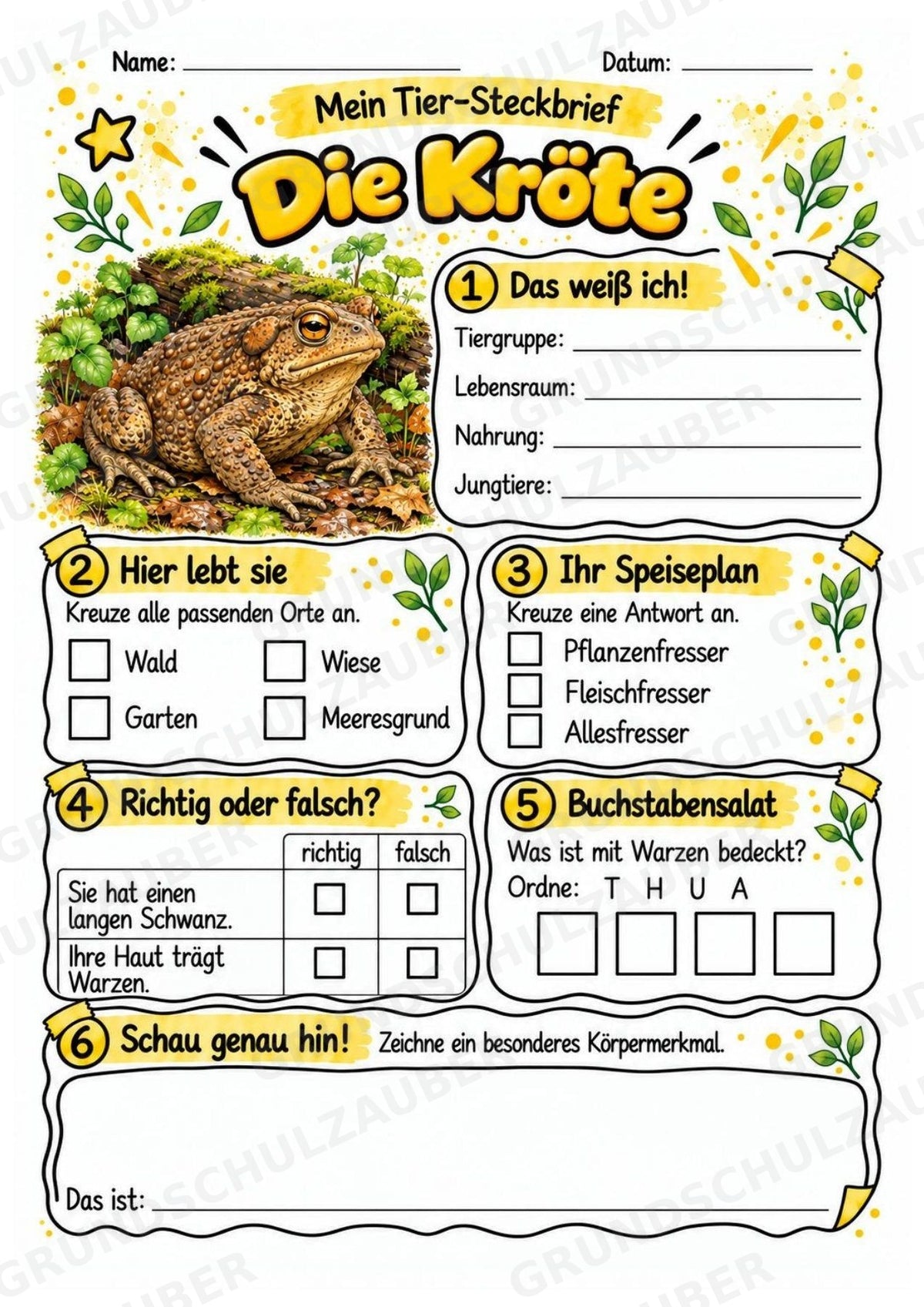 Kröte - Lesetext & Steckbrief | Sachunterricht Tiere Grundschule – Materialseite 3
