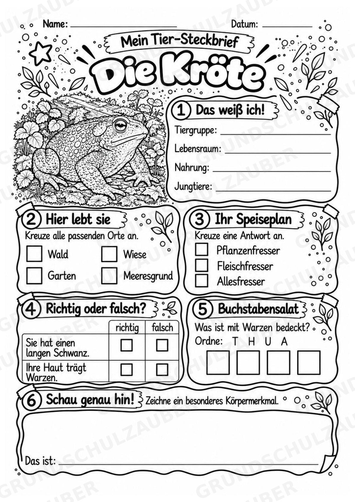Kröte - Lesetext & Steckbrief | Sachunterricht Tiere Grundschule – Materialseite 4
