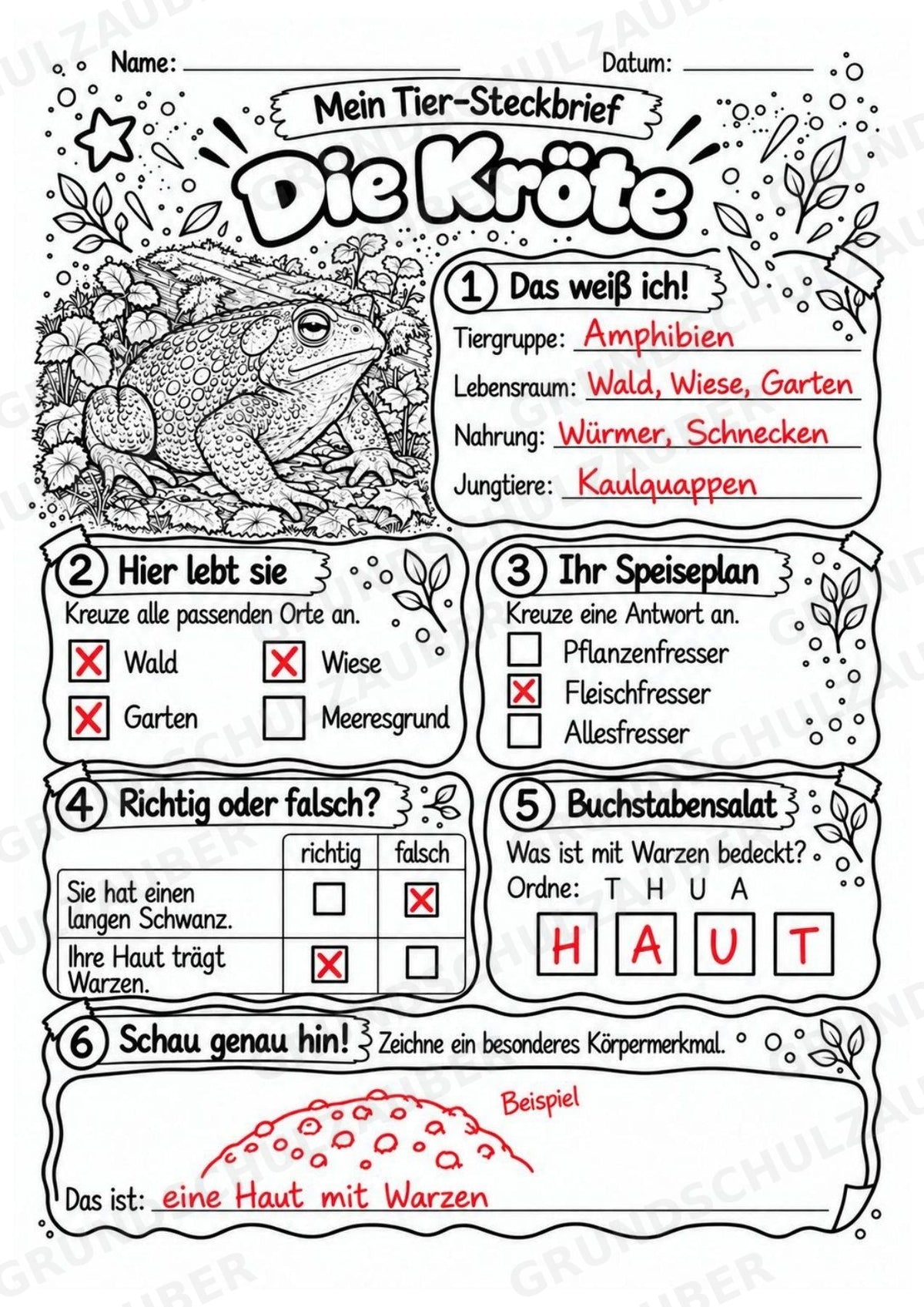Kröte - Lesetext & Steckbrief | Sachunterricht Tiere Grundschule – Materialseite 5