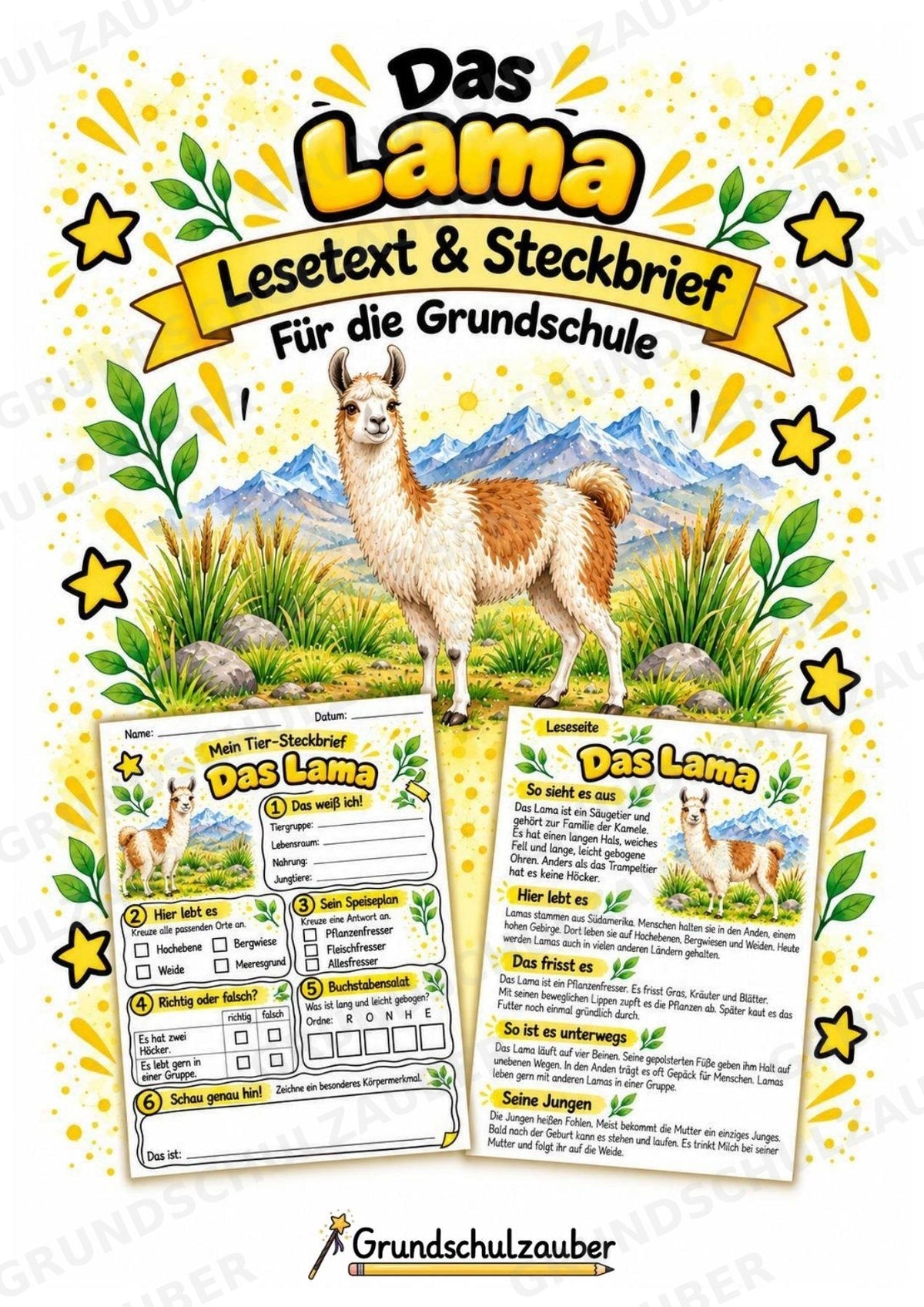 Lama - Lesetext & Steckbrief | Sachunterricht Tiere Grundschule – Cover