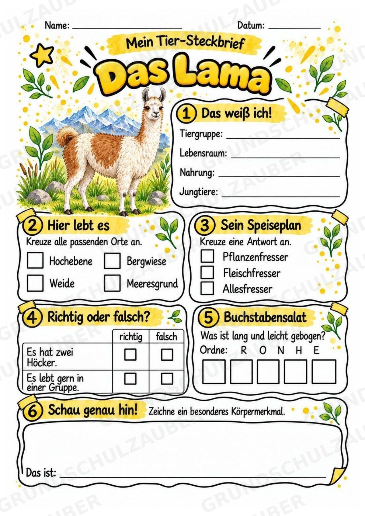 Lama - Lesetext & Steckbrief | Sachunterricht Tiere Grundschule – Materialseite 3