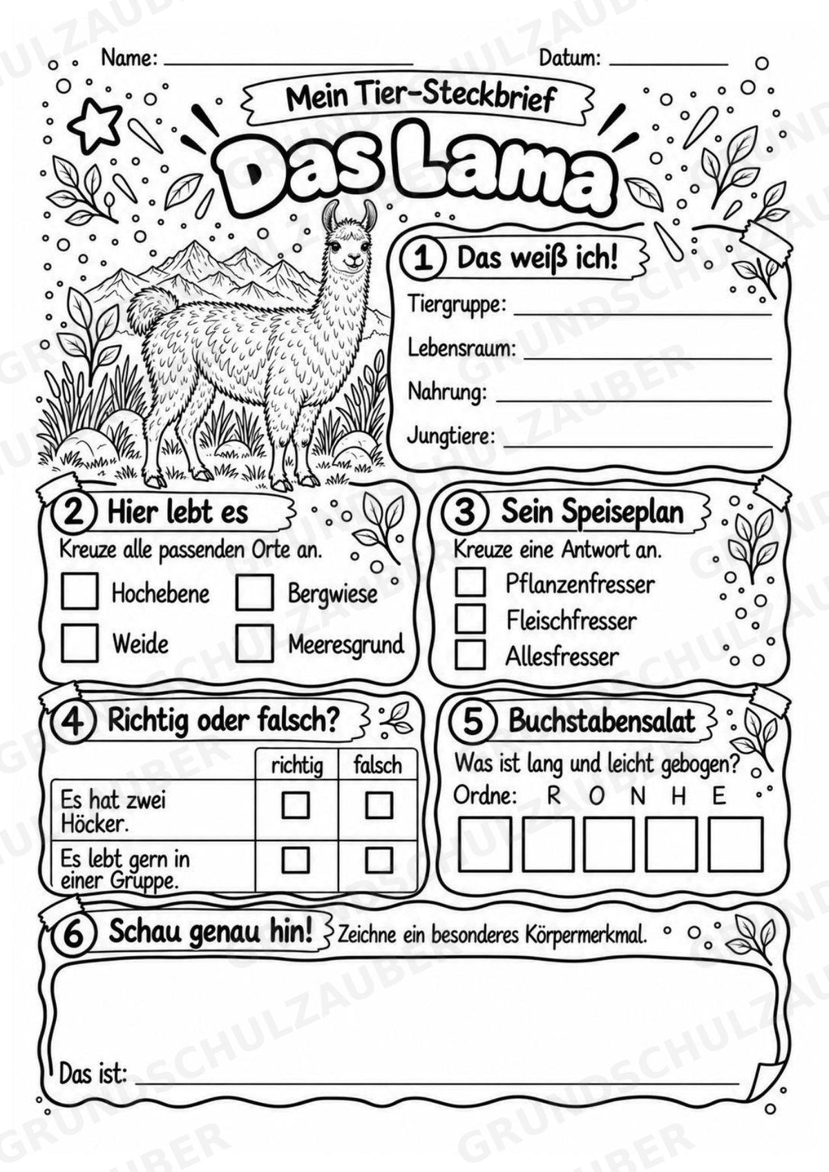 Lama - Lesetext & Steckbrief | Sachunterricht Tiere Grundschule – Materialseite 4