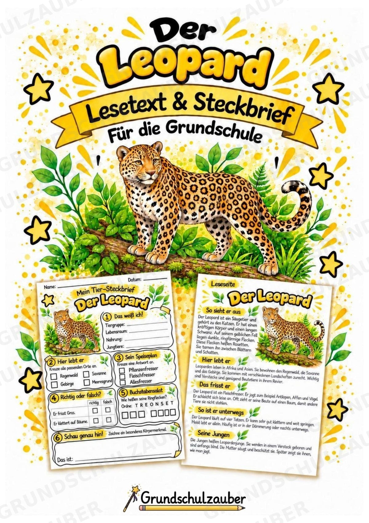 Leopard - Lesetext & Steckbrief | Sachunterricht Tiere Grundschule – Cover