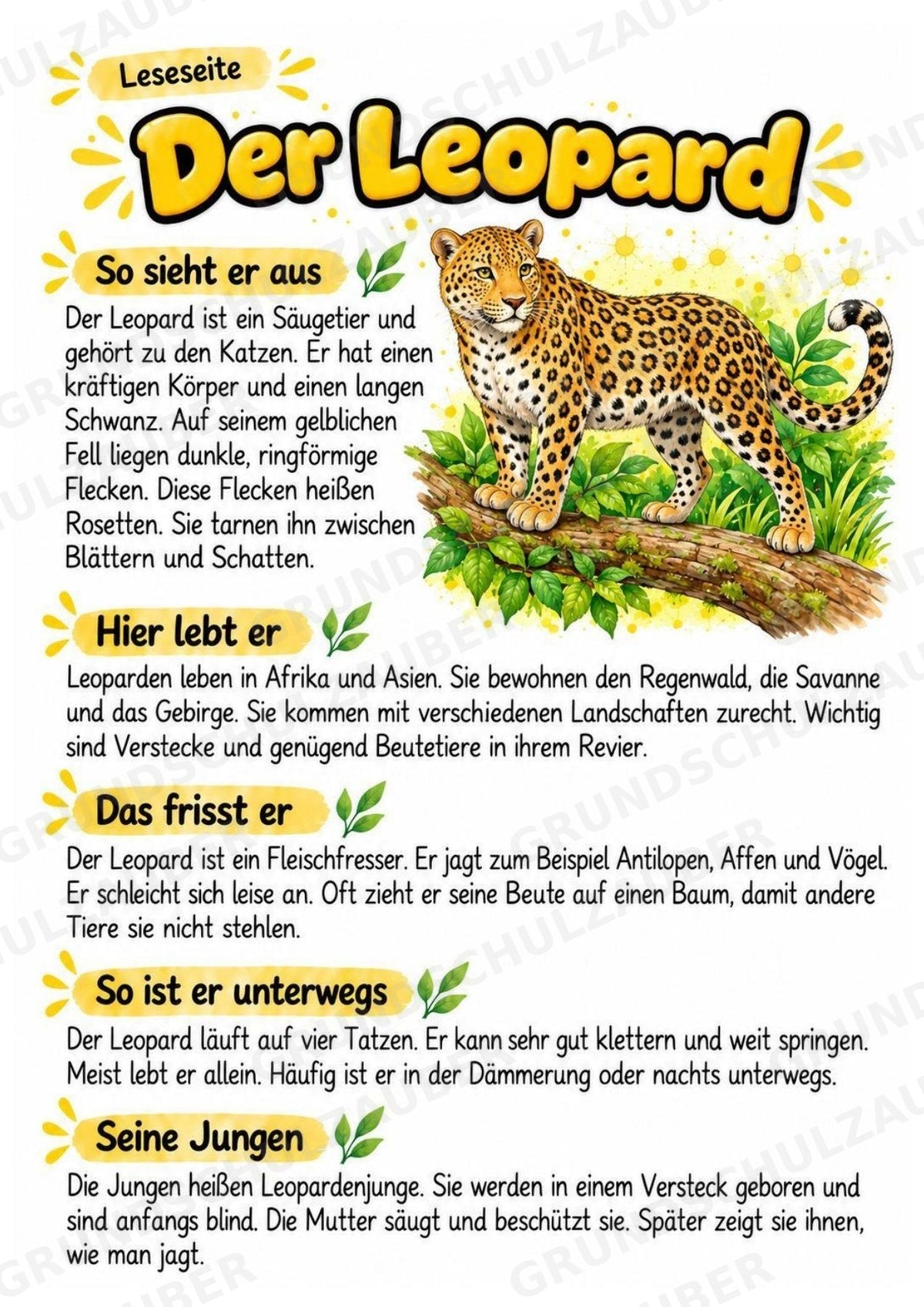 Leopard - Lesetext & Steckbrief | Sachunterricht Tiere Grundschule – Materialseite 2