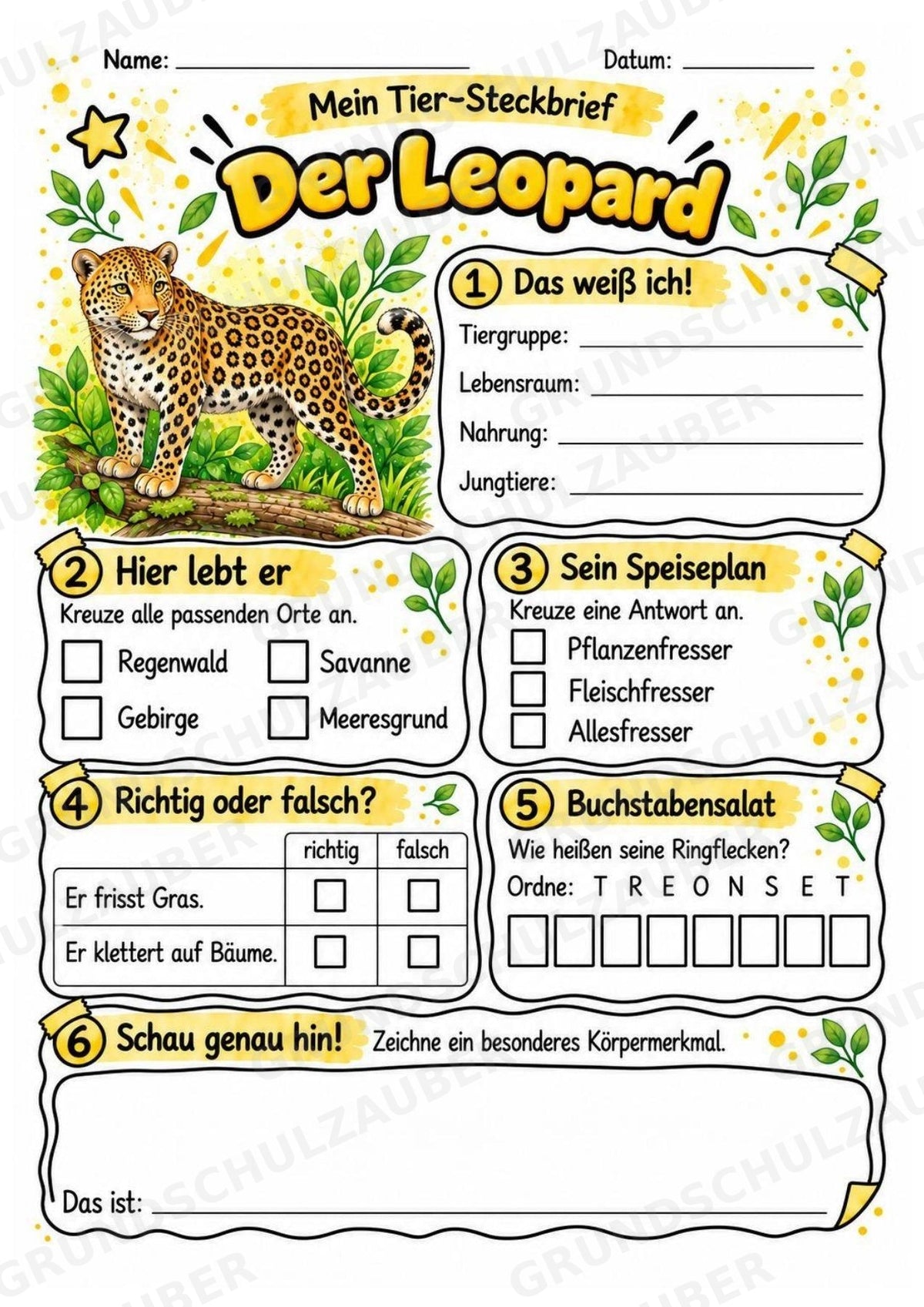 Leopard - Lesetext & Steckbrief | Sachunterricht Tiere Grundschule – Materialseite 3