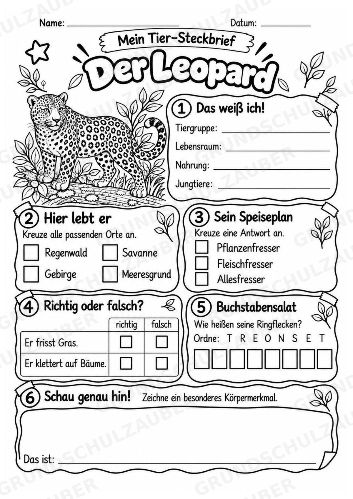 Leopard - Lesetext & Steckbrief | Sachunterricht Tiere Grundschule – Materialseite 4