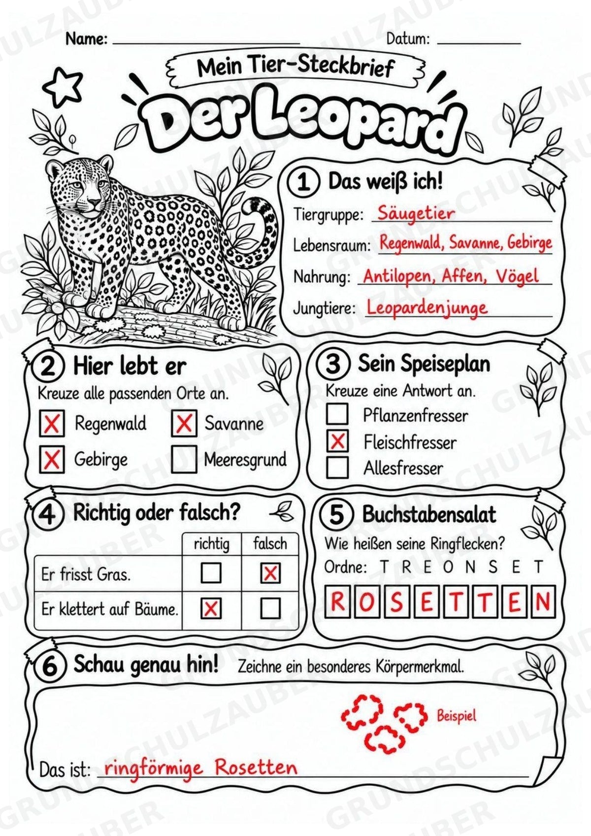 Leopard - Lesetext & Steckbrief | Sachunterricht Tiere Grundschule – Materialseite 5