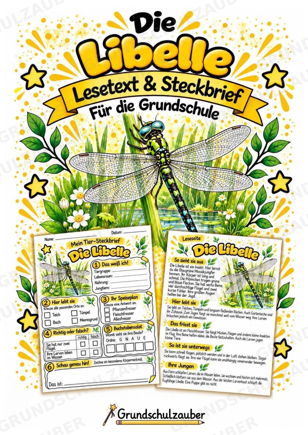Libelle - Lesetext & Steckbrief | Sachunterricht Tiere Grundschule – Cover