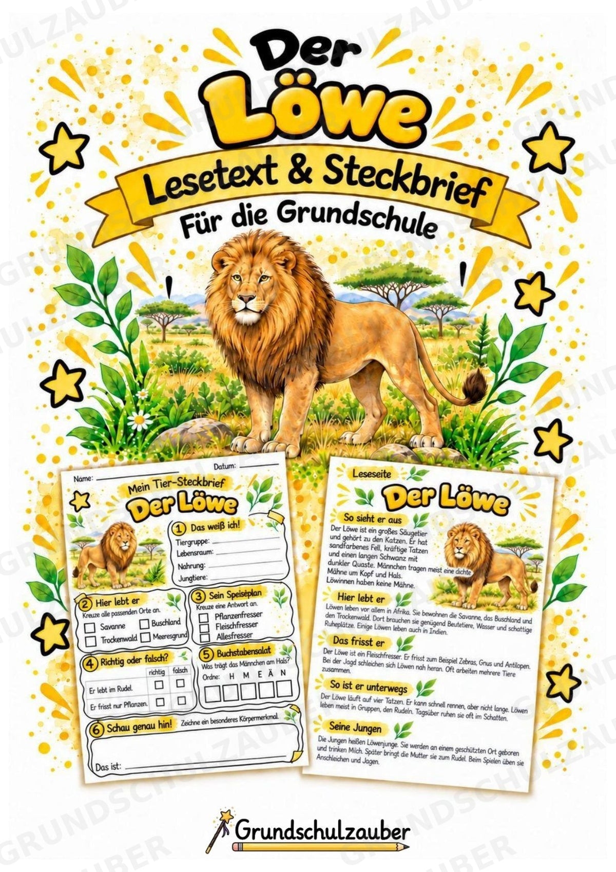 Löwe - Lesetext & Steckbrief | Sachunterricht Tiere Grundschule – Cover