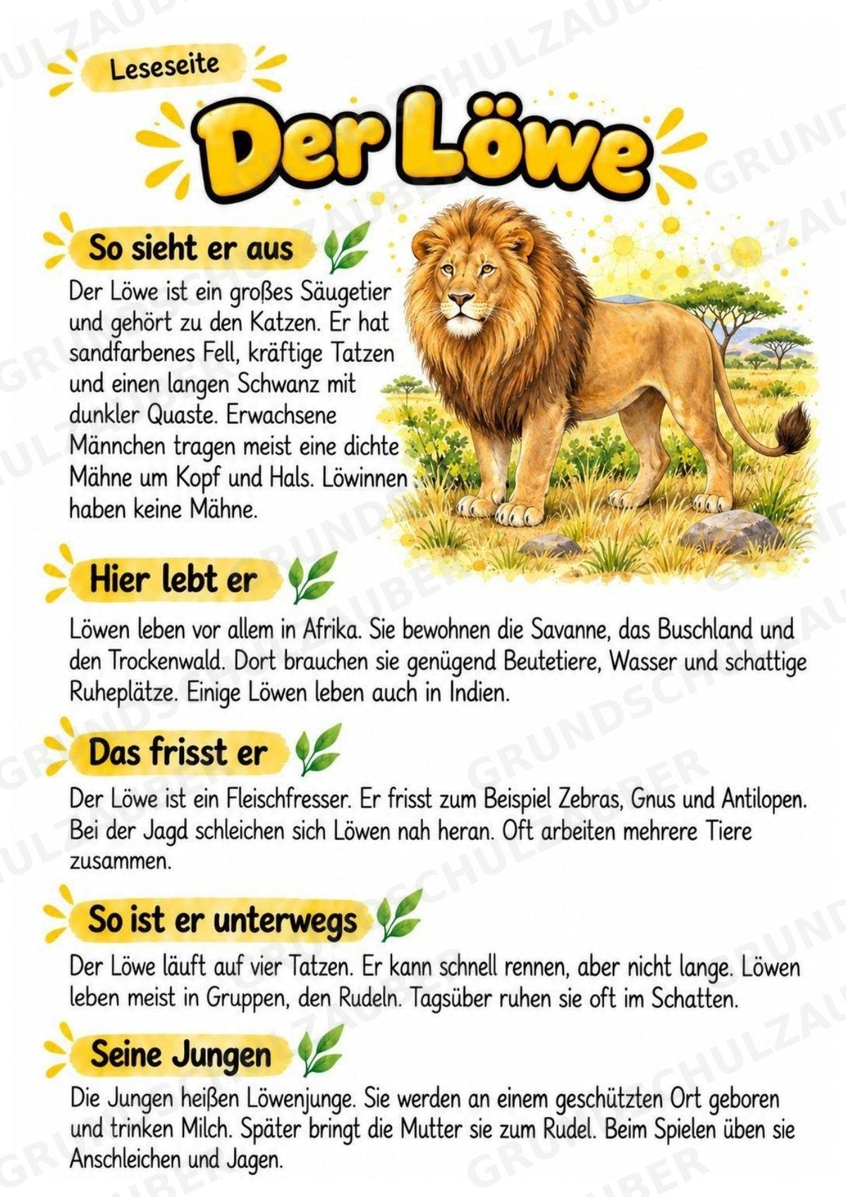 Löwe - Lesetext & Steckbrief | Sachunterricht Tiere Grundschule – Materialseite 2