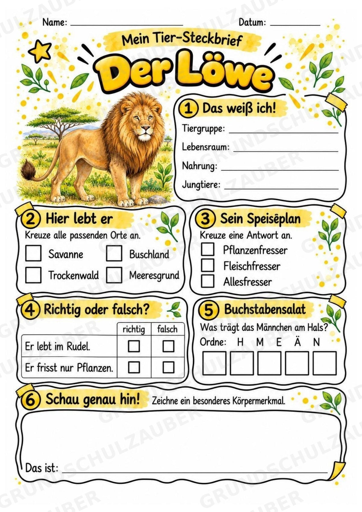 Löwe - Lesetext & Steckbrief | Sachunterricht Tiere Grundschule – Materialseite 3