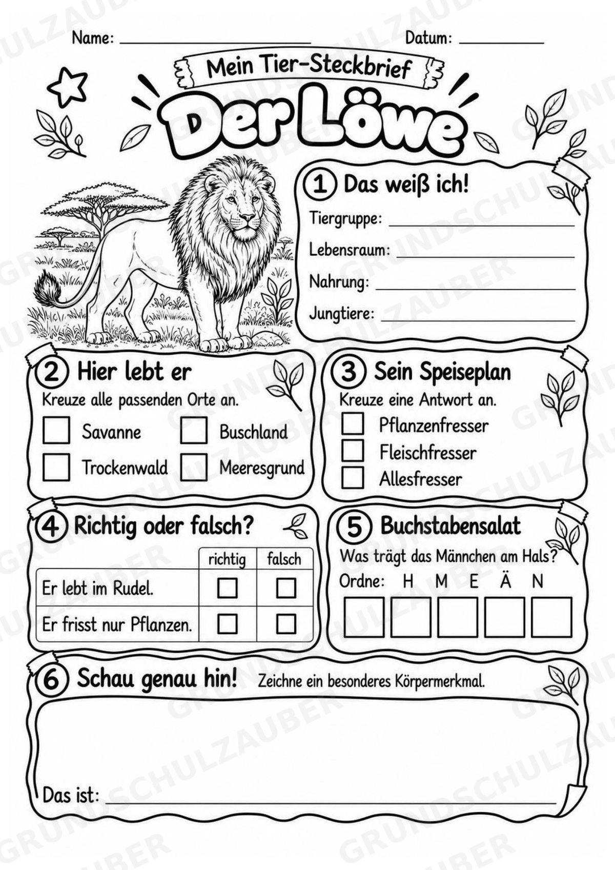 Löwe - Lesetext & Steckbrief | Sachunterricht Tiere Grundschule – Materialseite 4