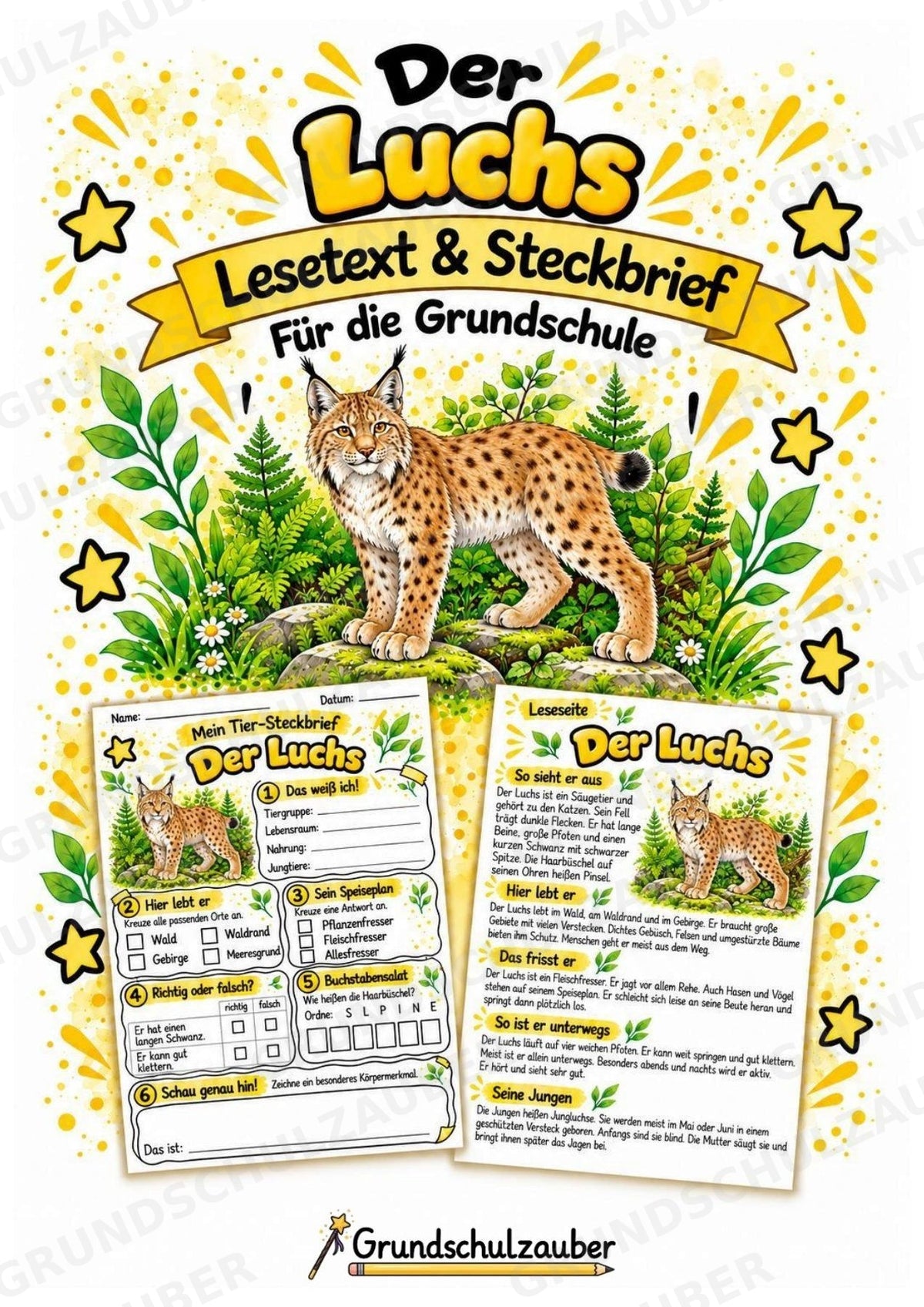 Luchs - Lesetext & Steckbrief | Sachunterricht Tiere Grundschule – Cover