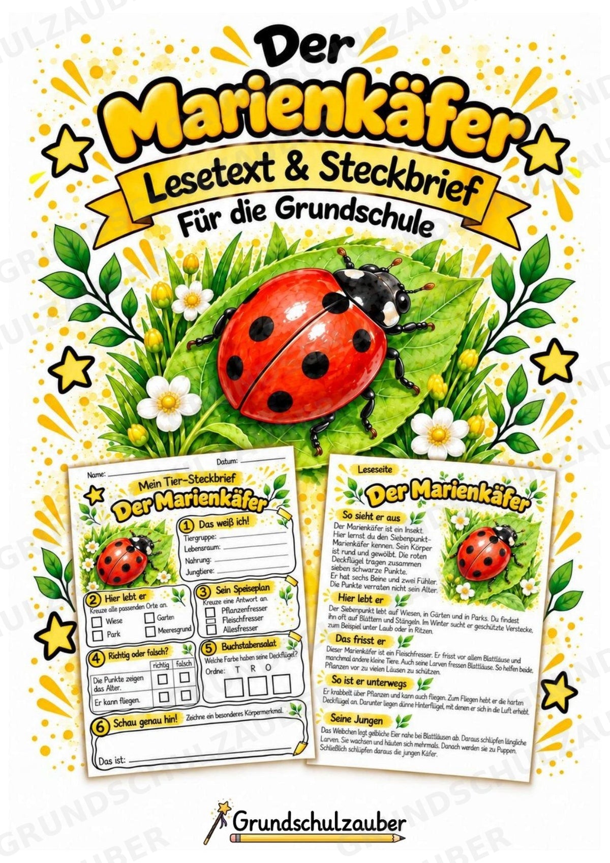 Marienkäfer - Lesetext & Steckbrief | Sachunterricht Tiere Grundschule – Cover