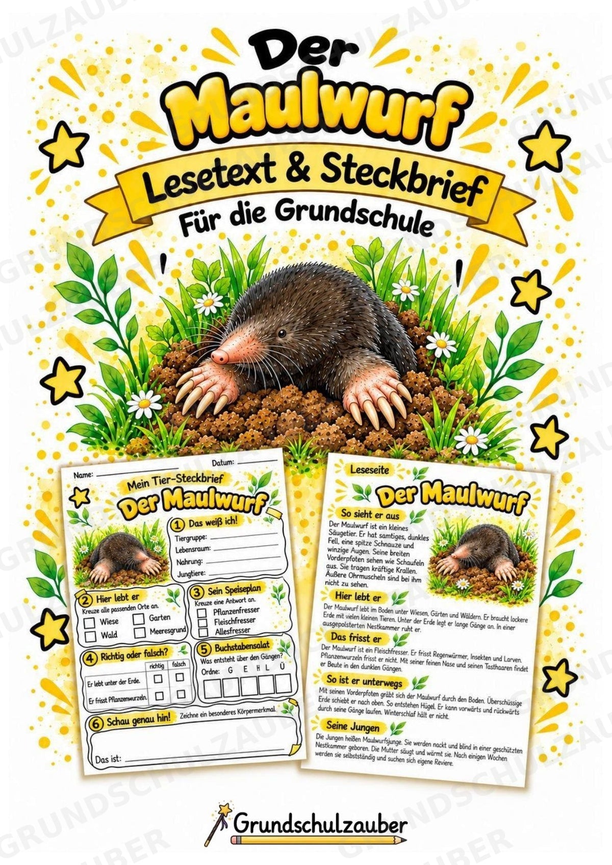 Maulwurf - Lesetext & Steckbrief | Sachunterricht Tiere Grundschule – Cover