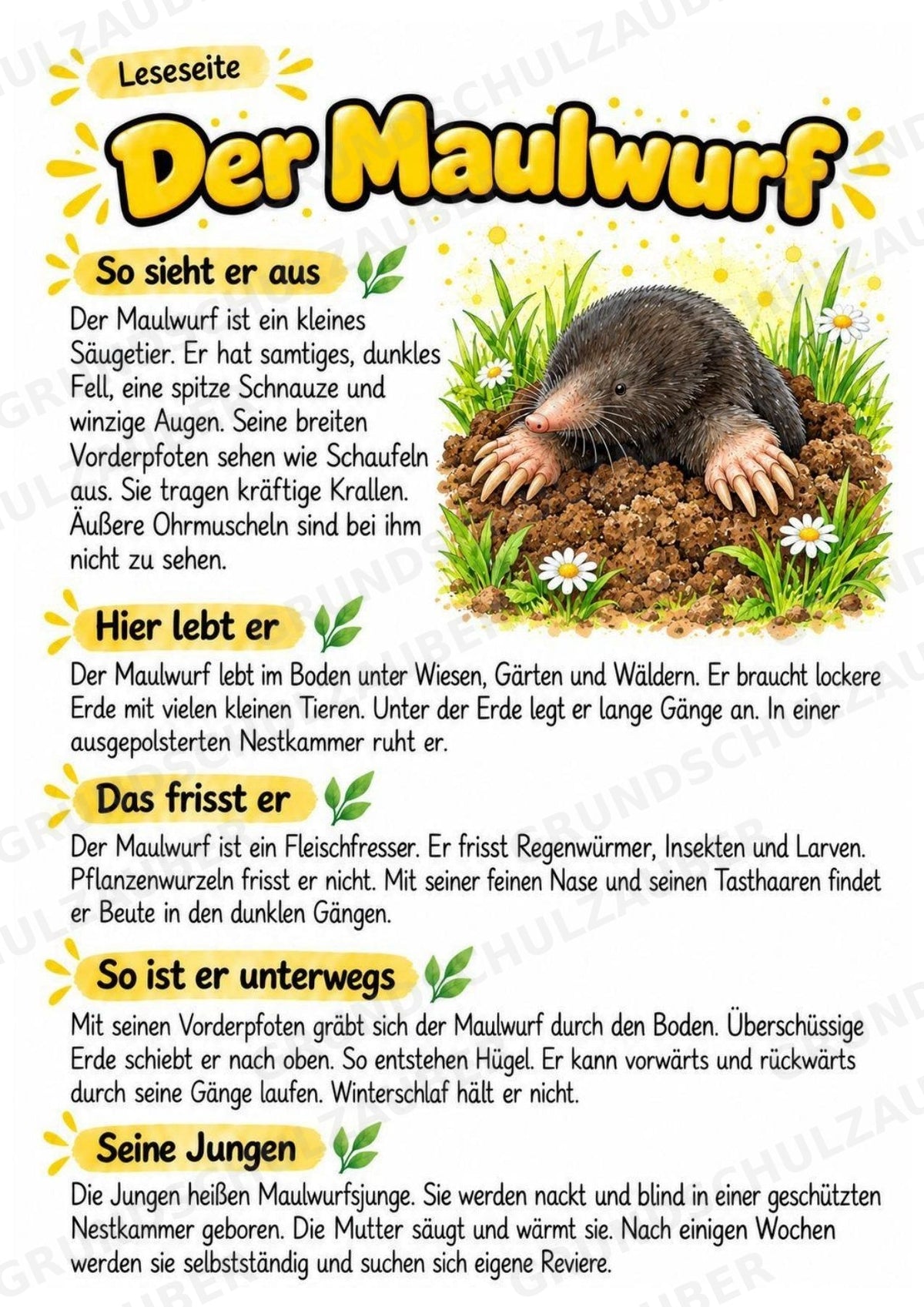 Maulwurf - Lesetext & Steckbrief | Sachunterricht Tiere Grundschule – Materialseite 2